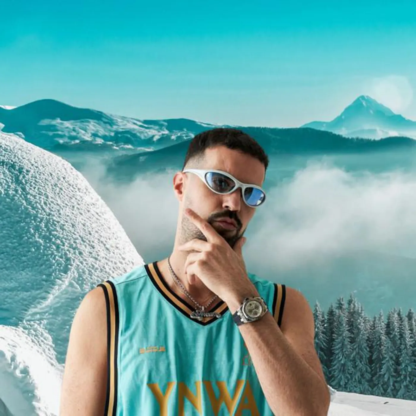 icekream Brand Page
