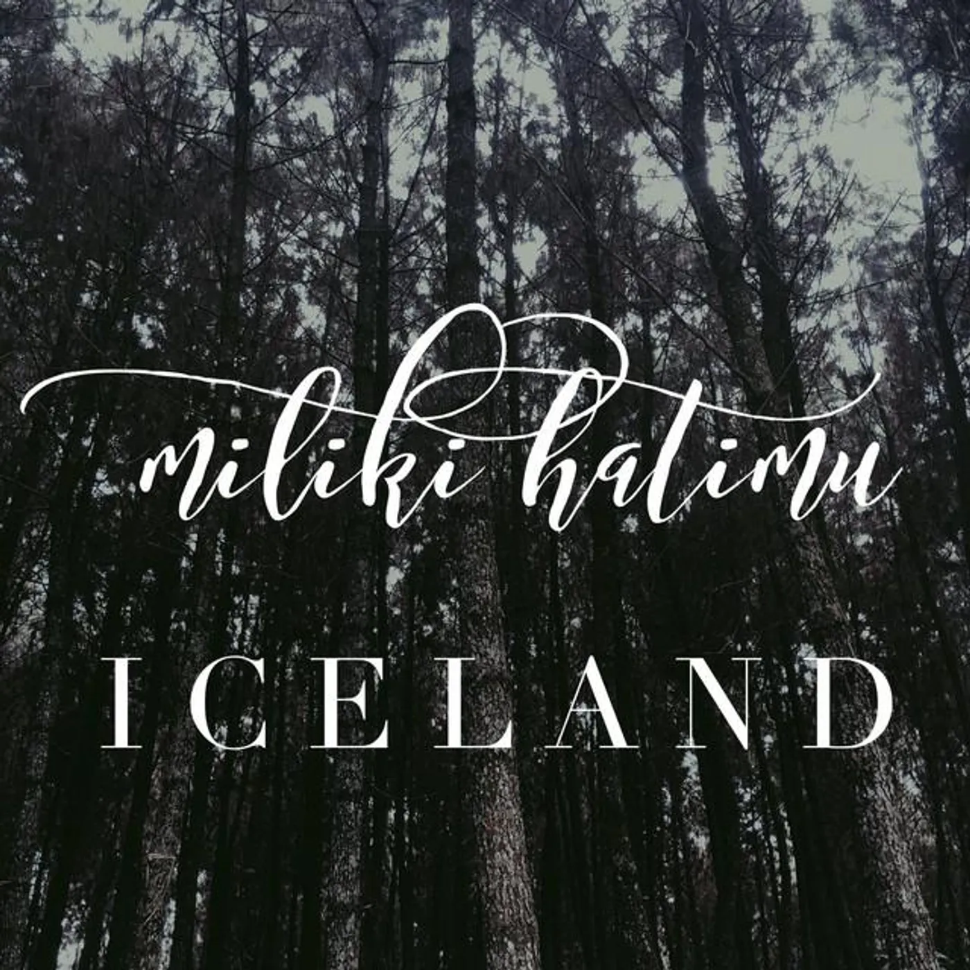 Iceland Brand Page