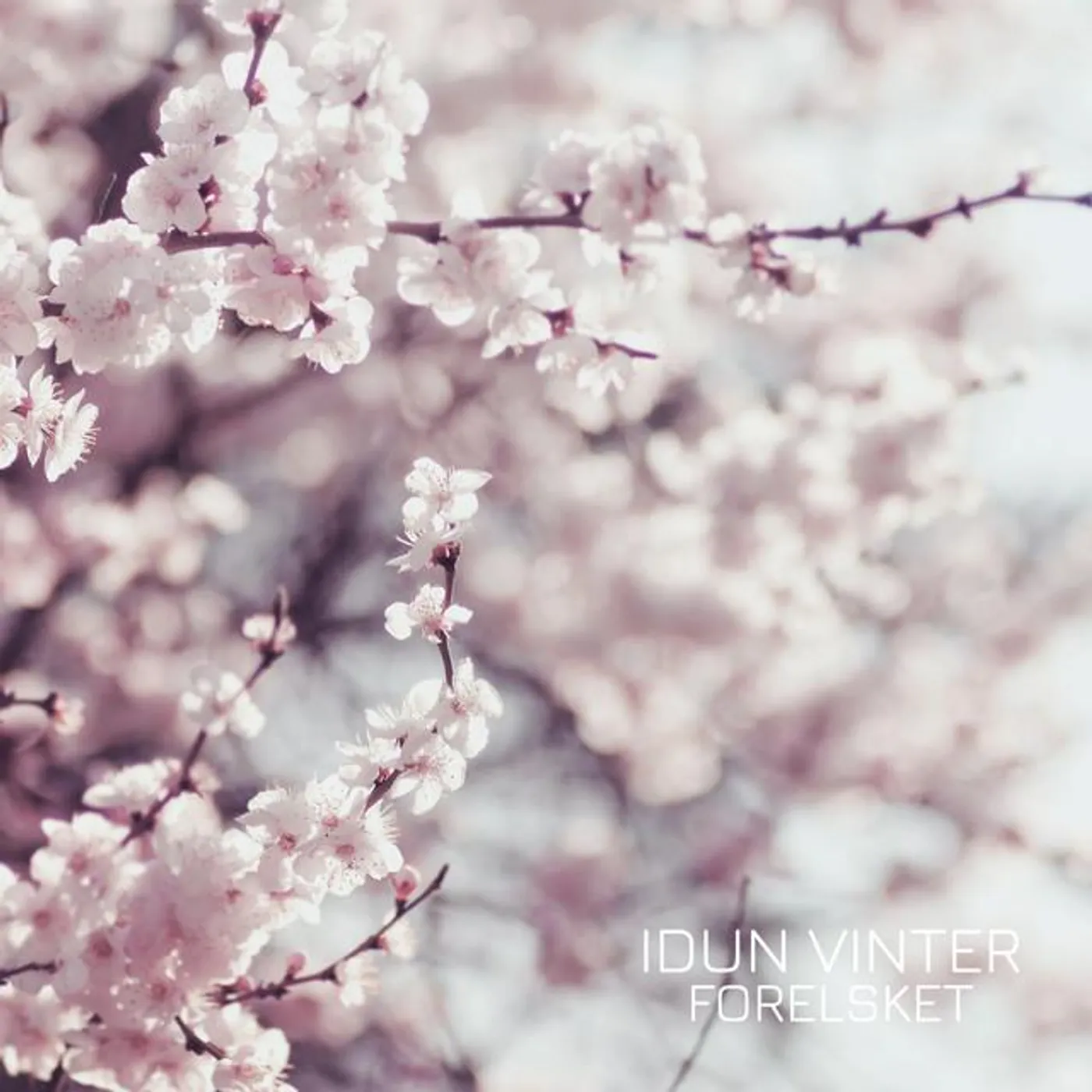 Idun Vinter Brand Page