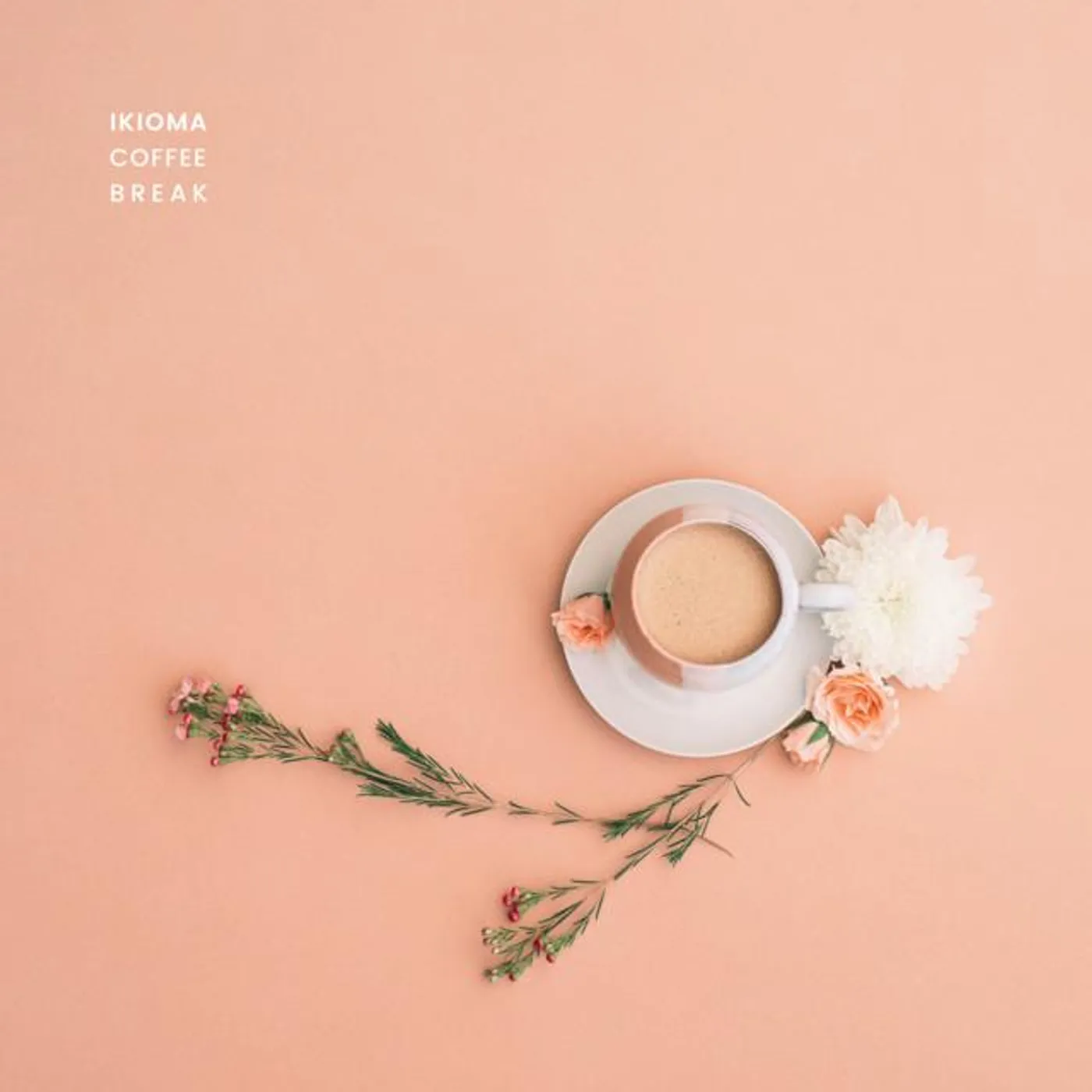 Ikioma Brand Page