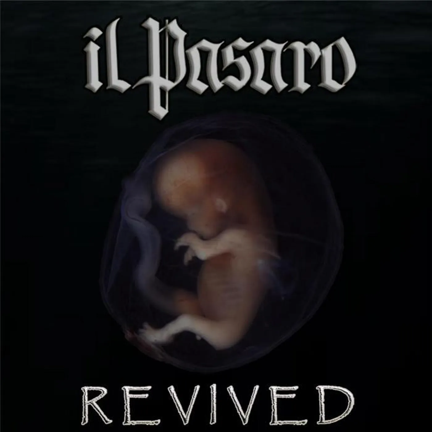 IL PASARO
