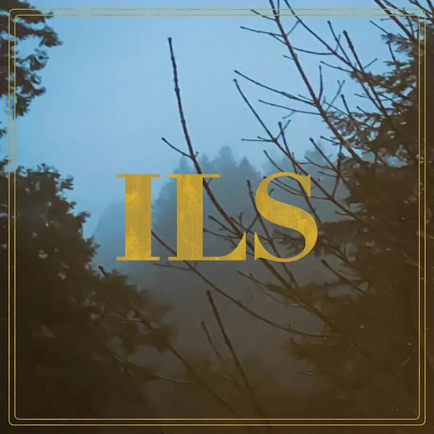 Ils
