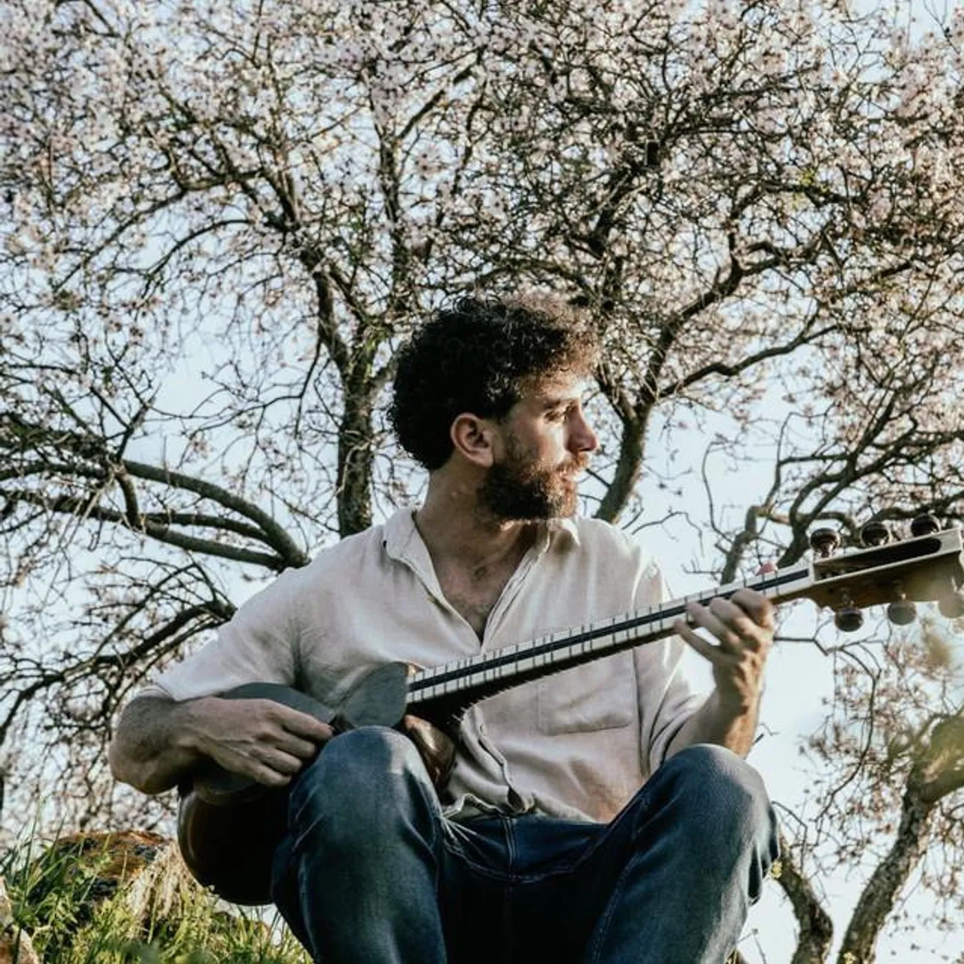 Itai Armon