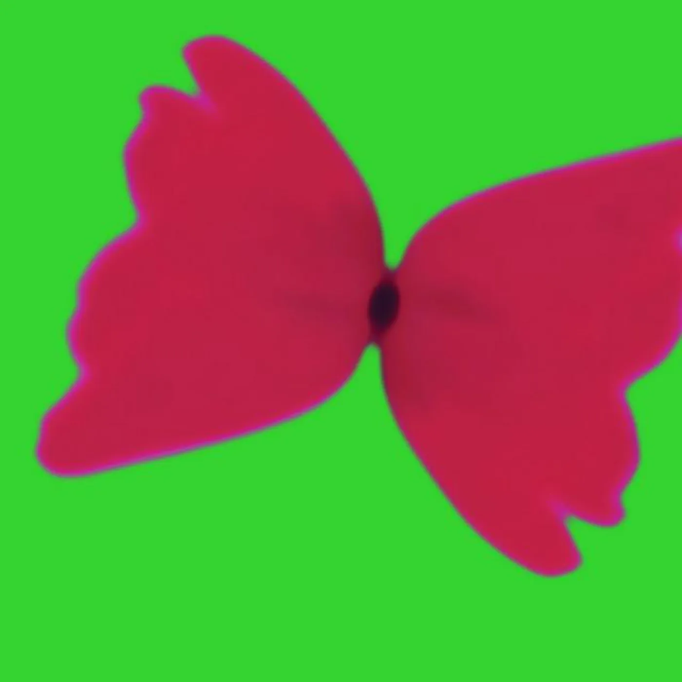 IVVVO