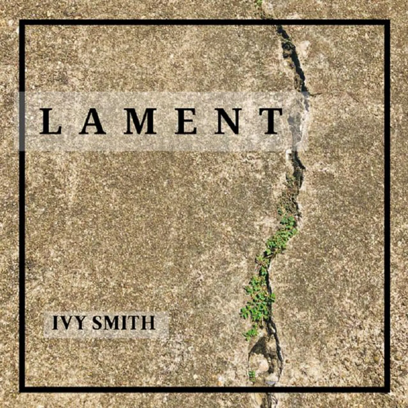 Ivy Smith