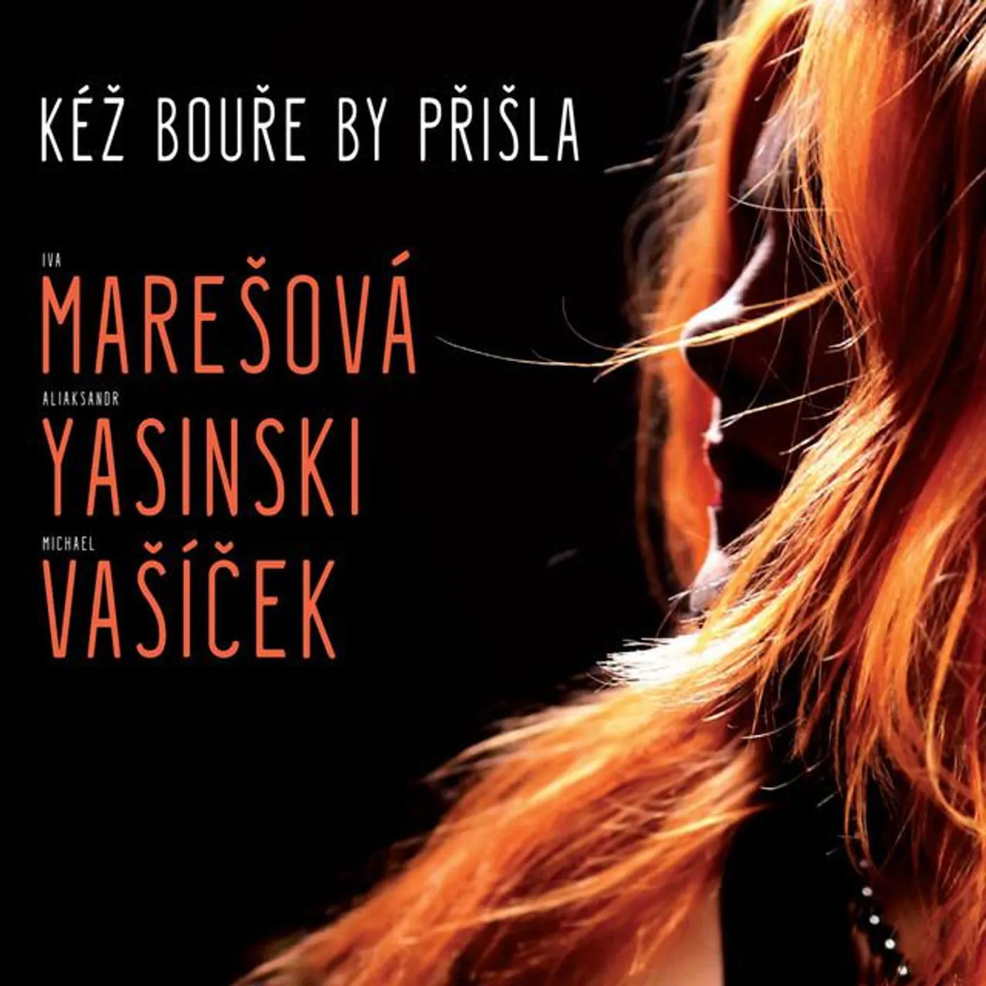 Iva Maresova Brand Page