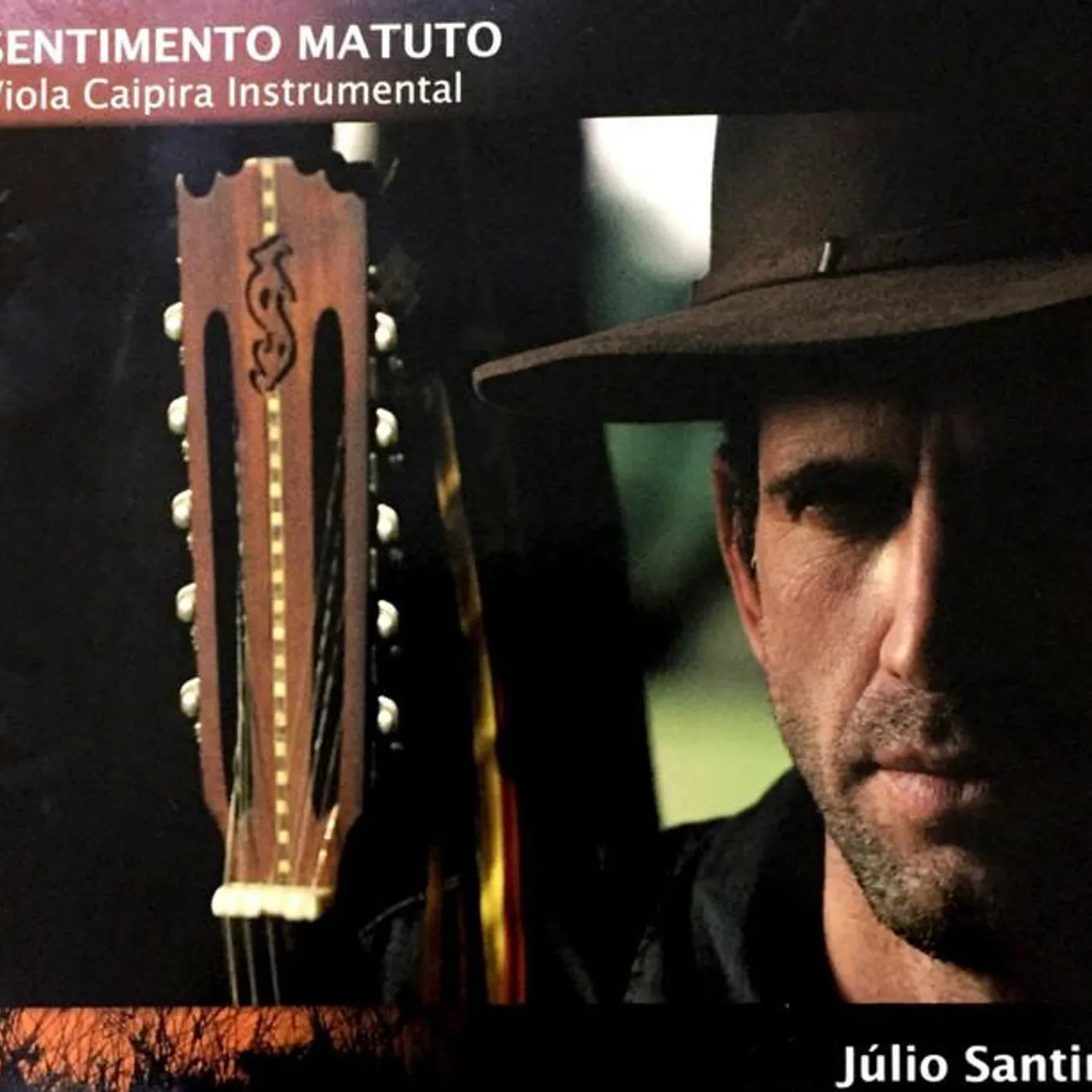 Júlio Santin Brand Page