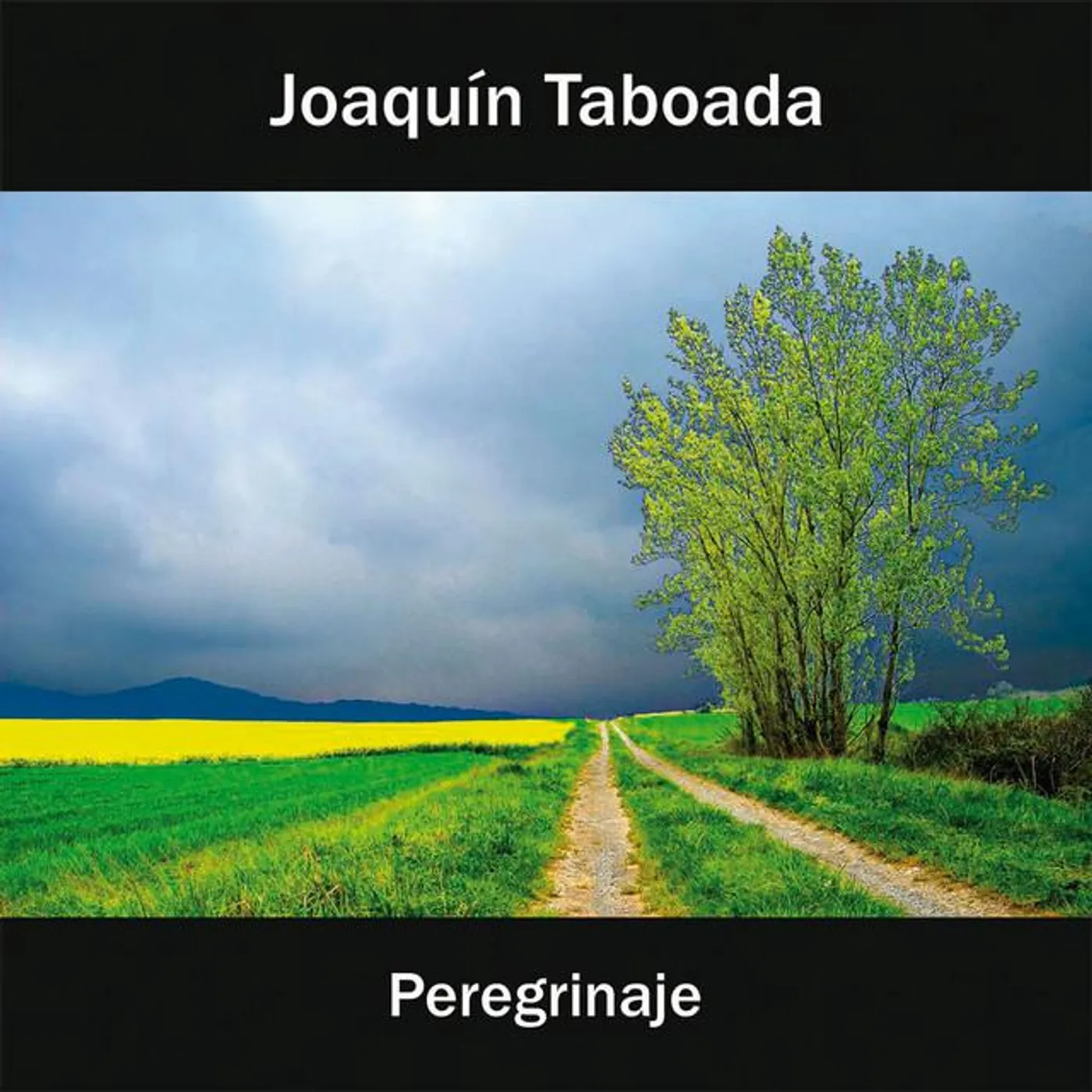Joaquín Taboada Brand Page