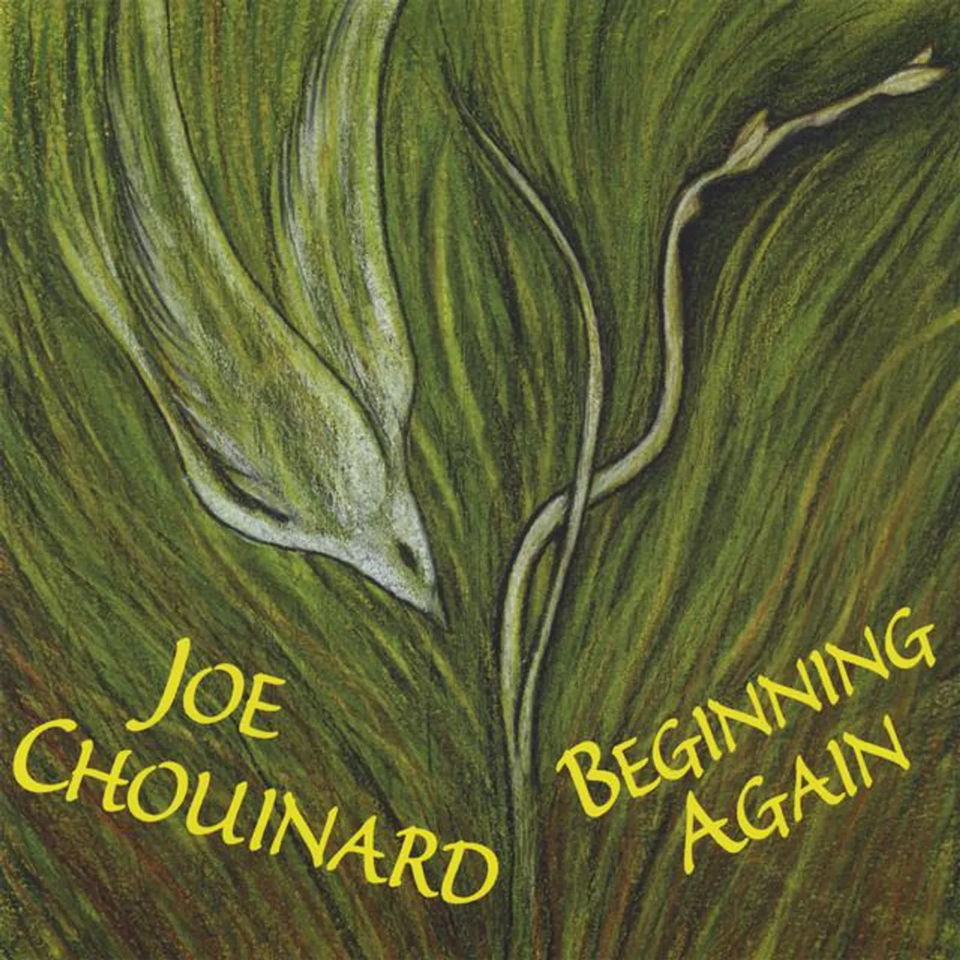 Joe Chouinard Brand Page