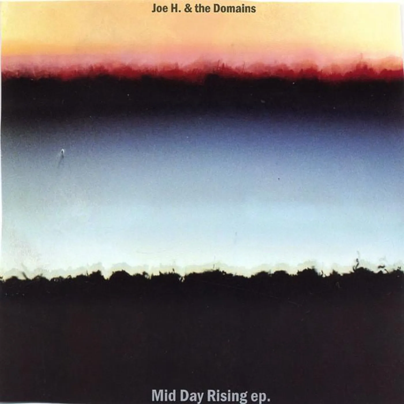 Joe H. & The Domains Brand Page