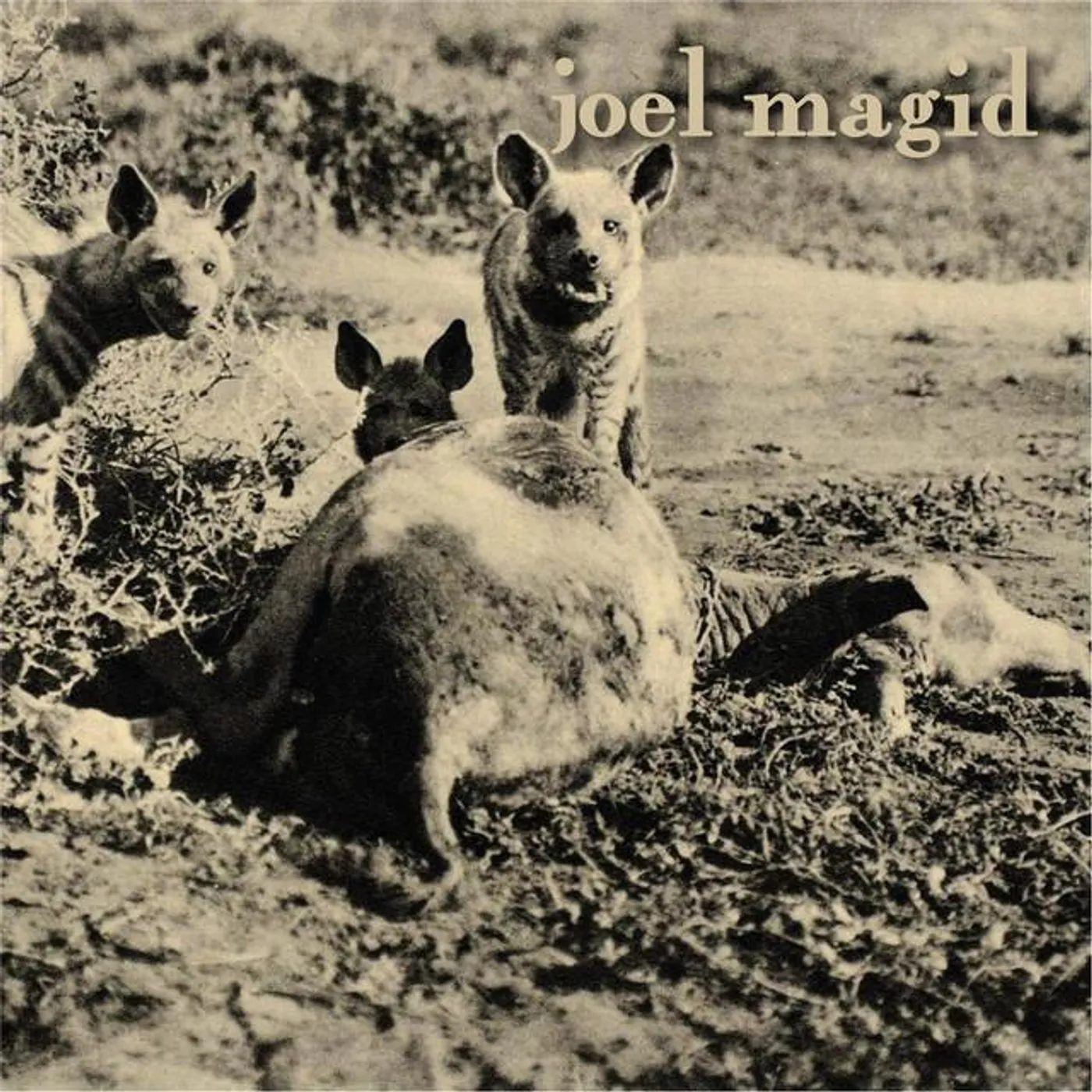 Joel Magid