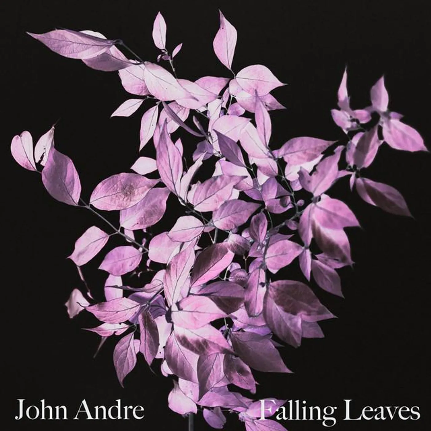 John Andre