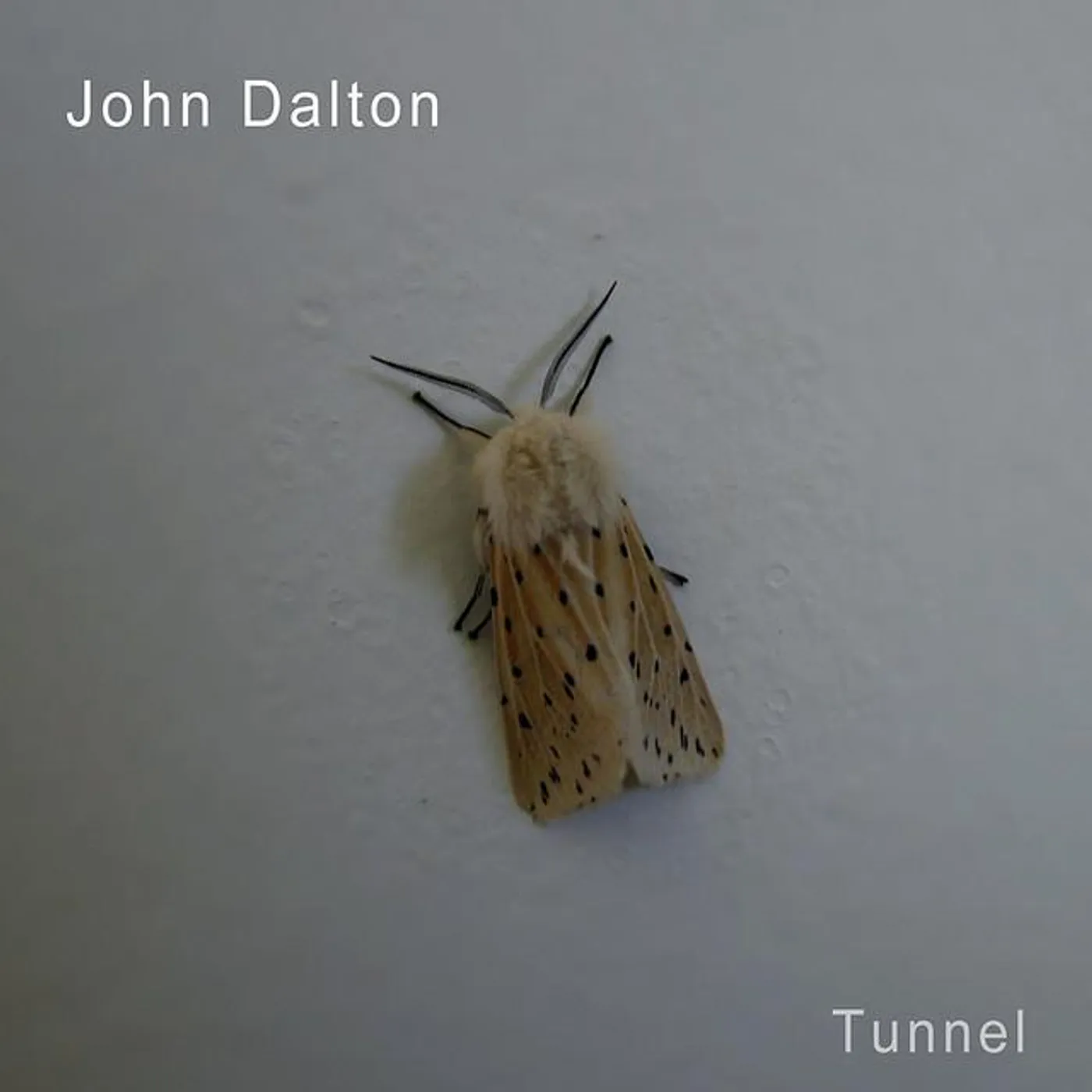 John Dalton Brand Page