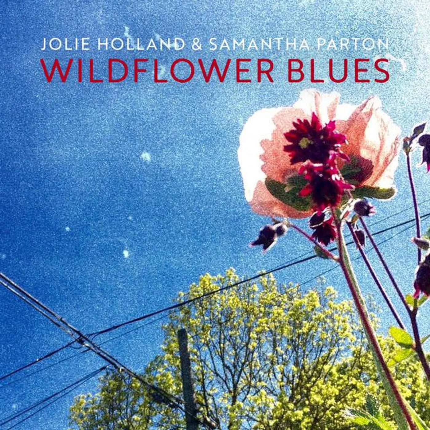 Jolie Holland & Samantha Parton Brand Page