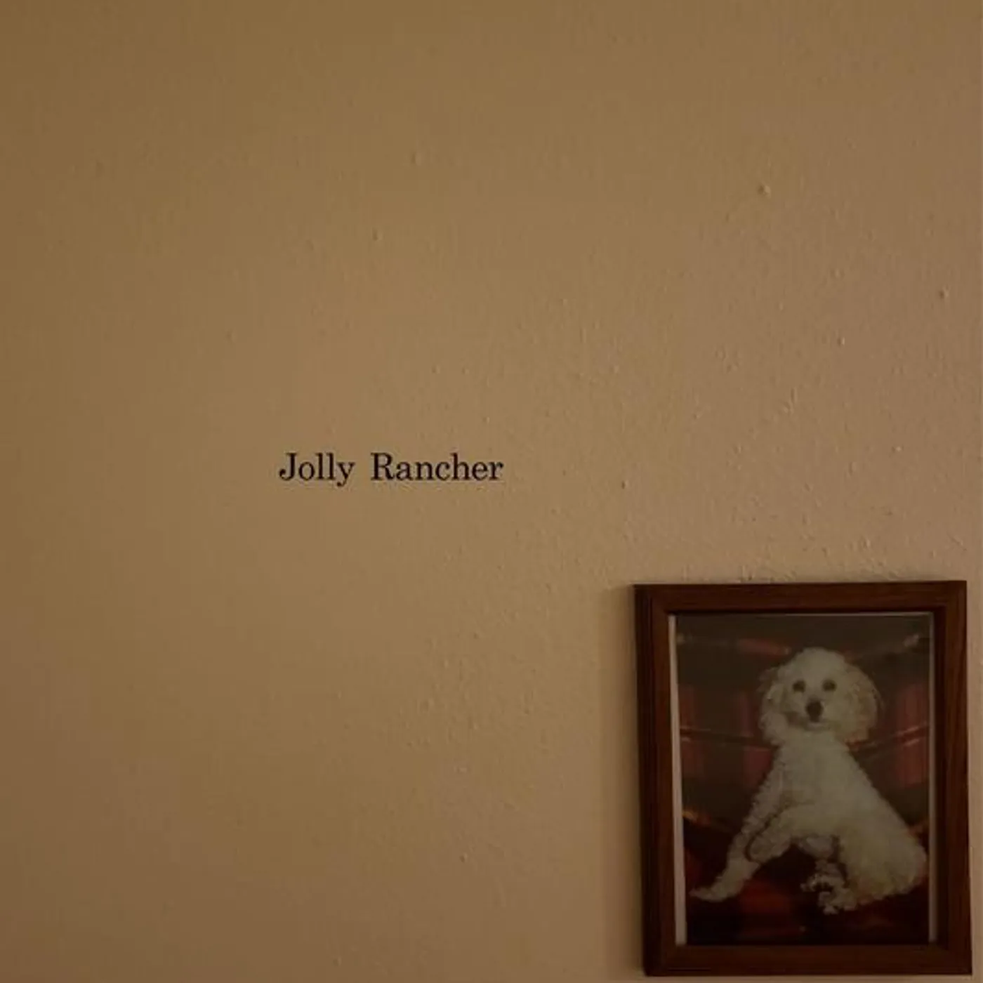 Jolly Rancher Brand Page