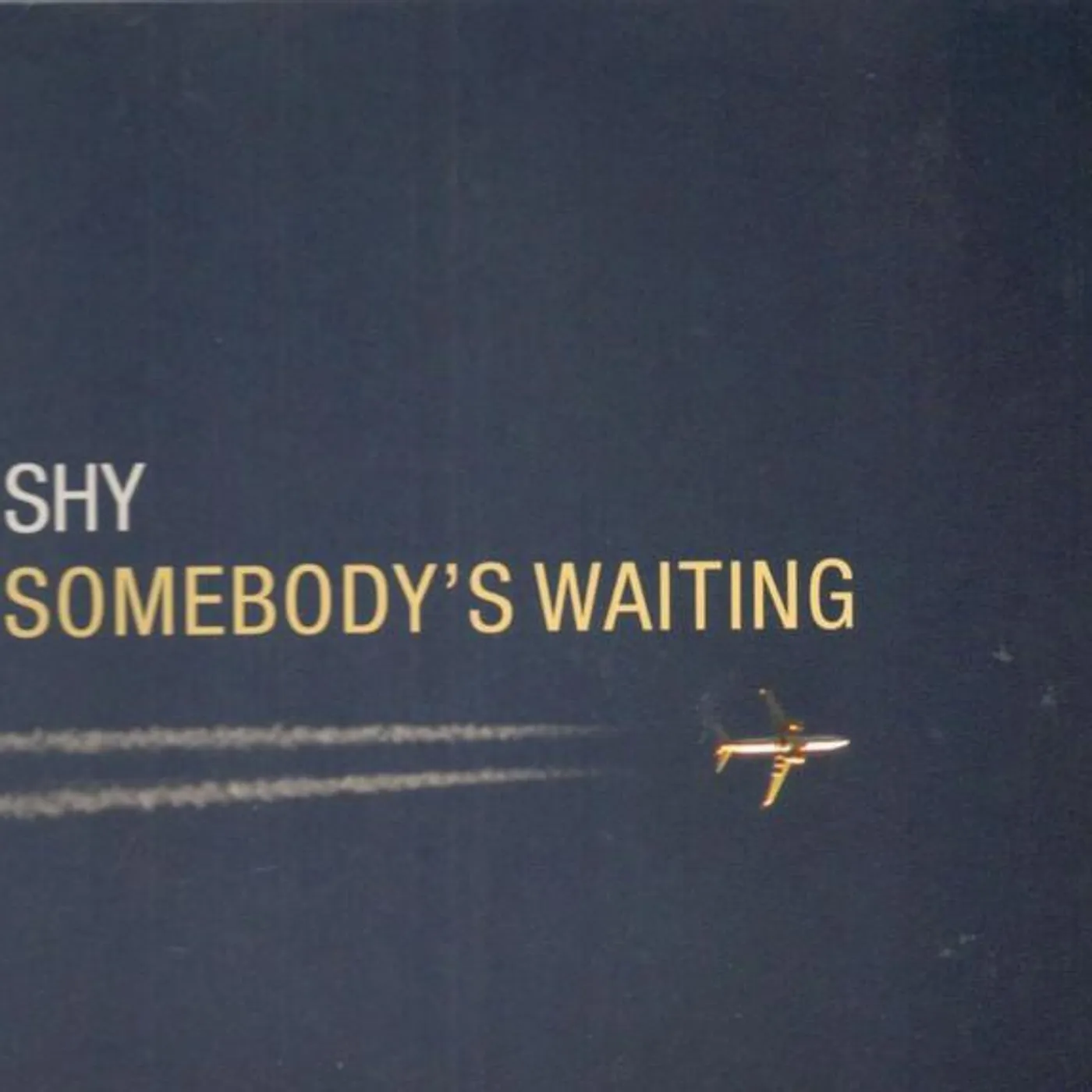 Jorge Shy Brand Page