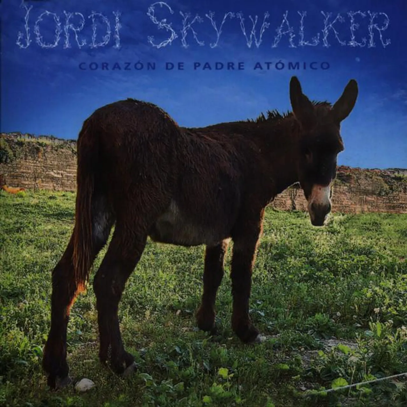Jordi Skywalker Brand Page