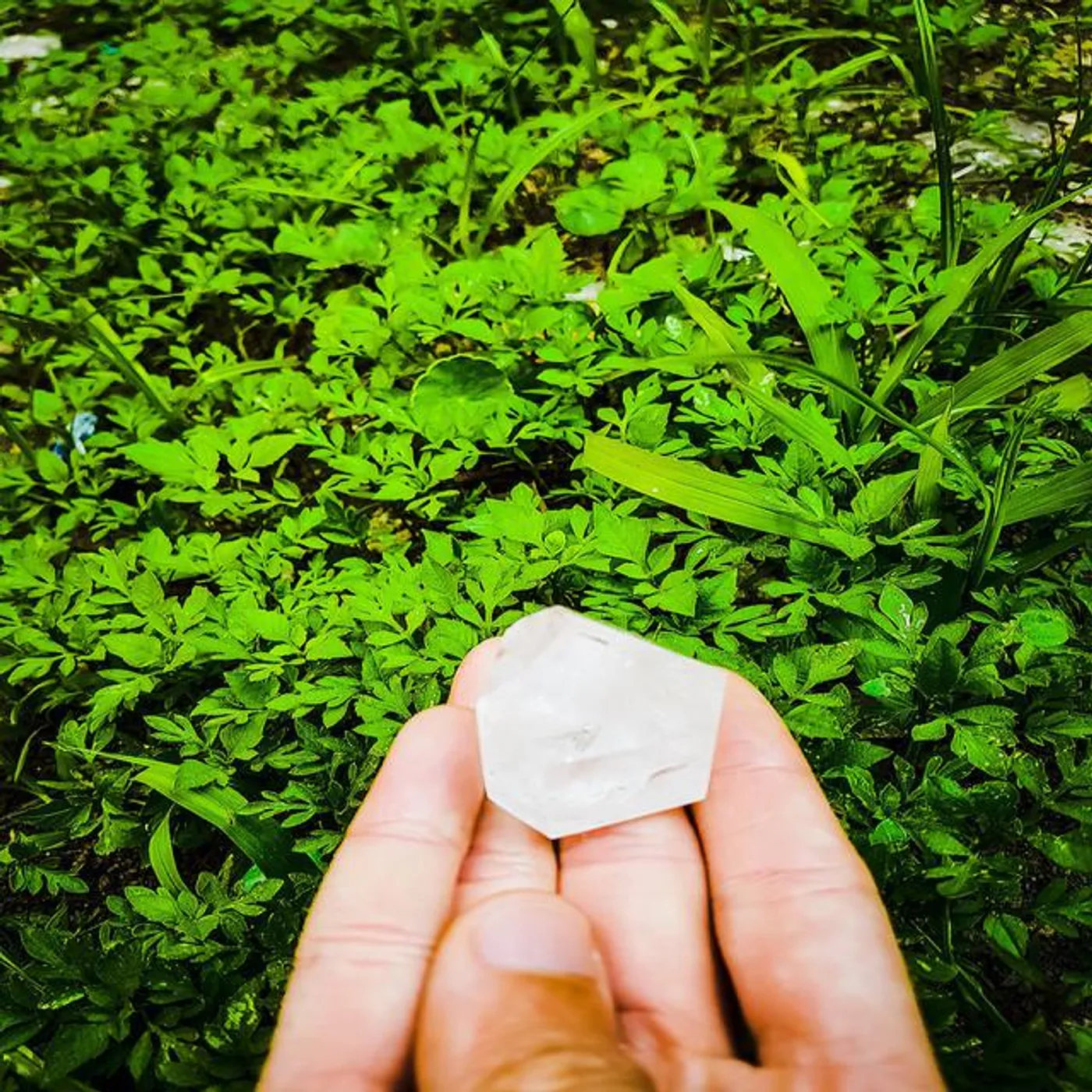 Jose Reinaldo Dos Santos