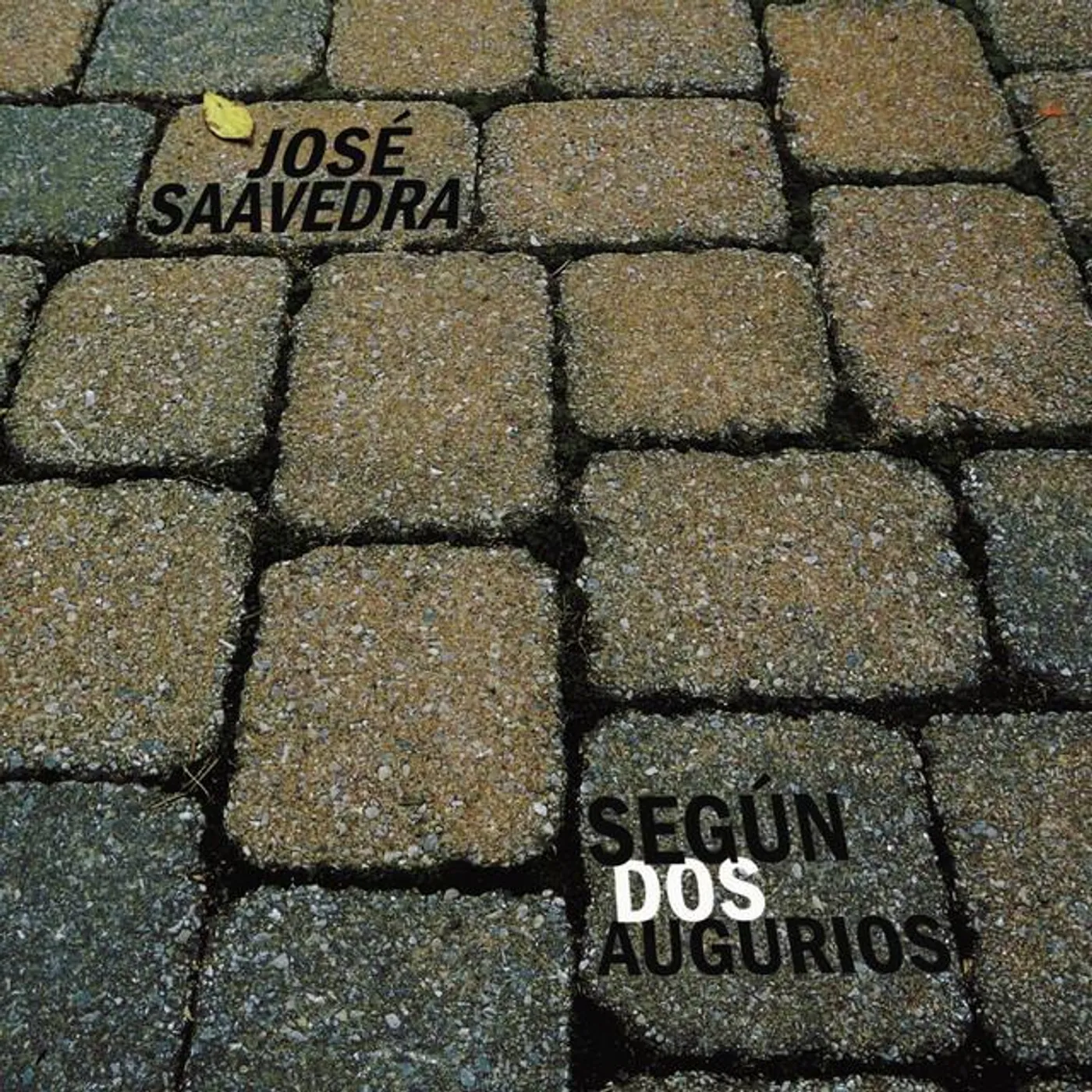 Jose Saavedra Iguina Brand Page