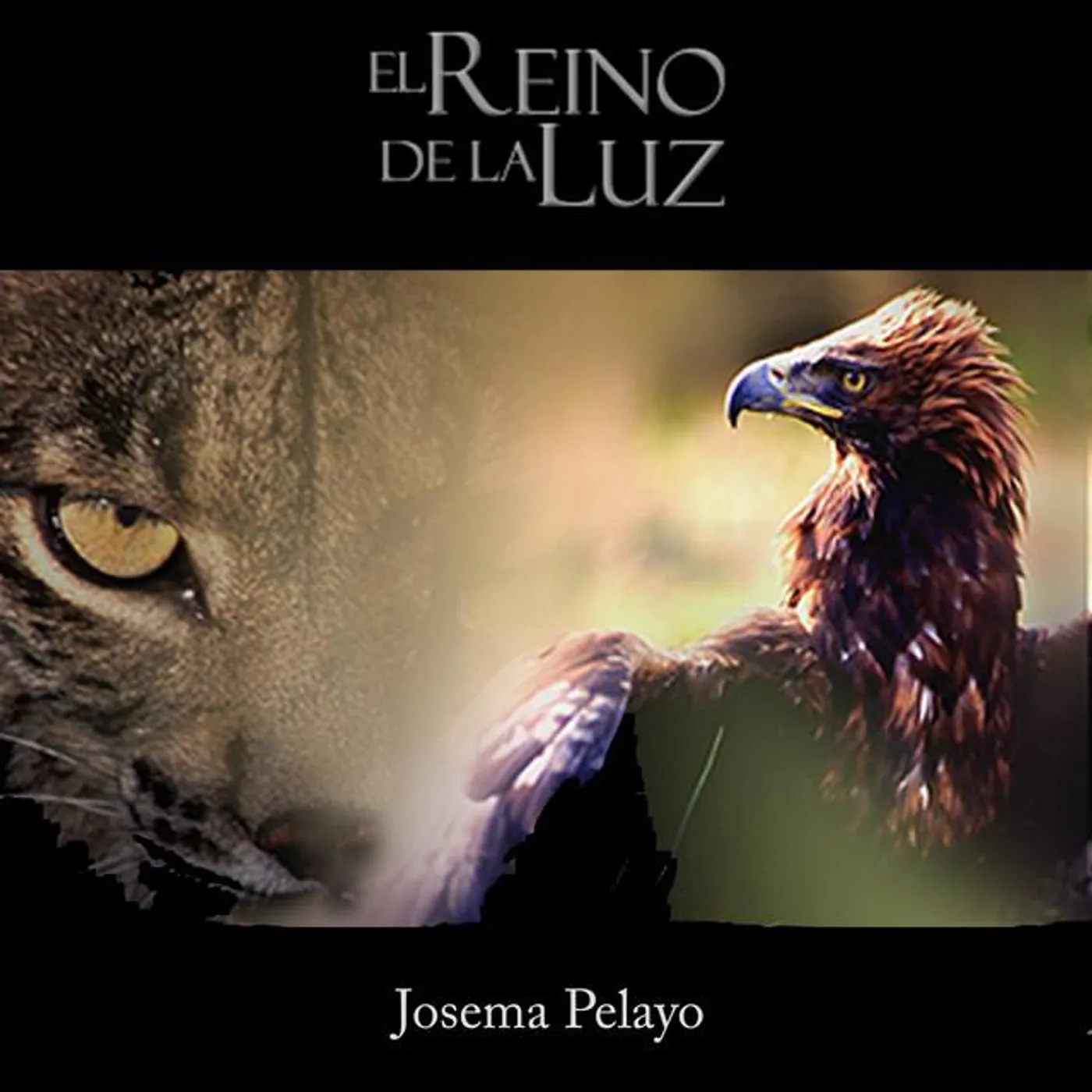 Josema Pelayo