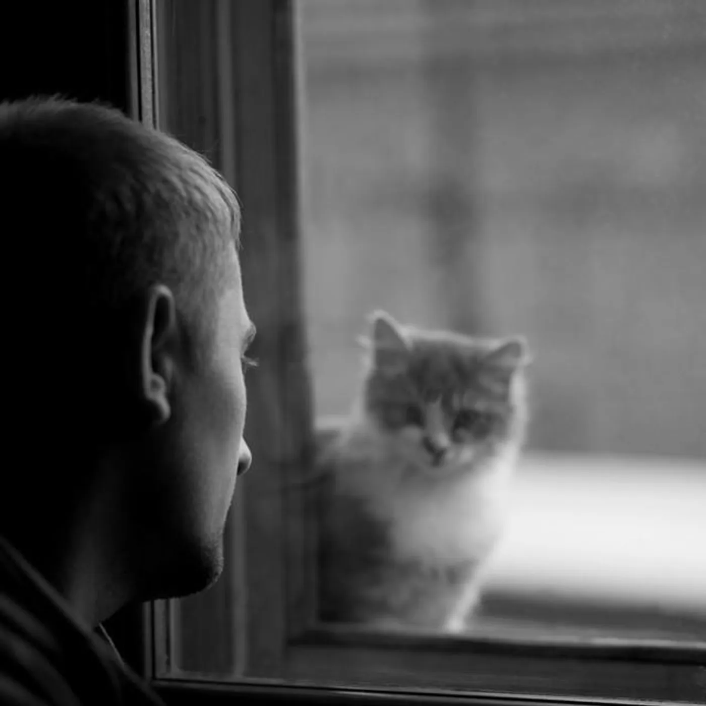 Josh and his cat