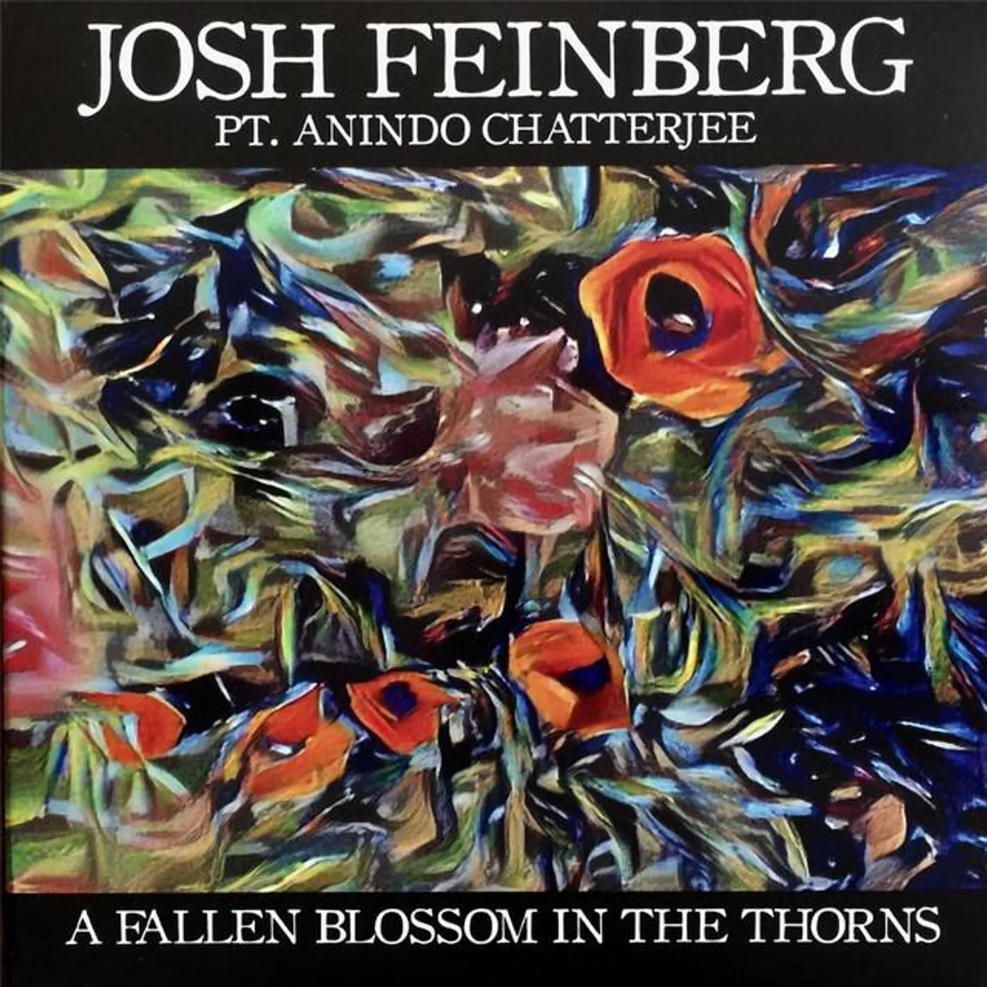 Josh Feinberg