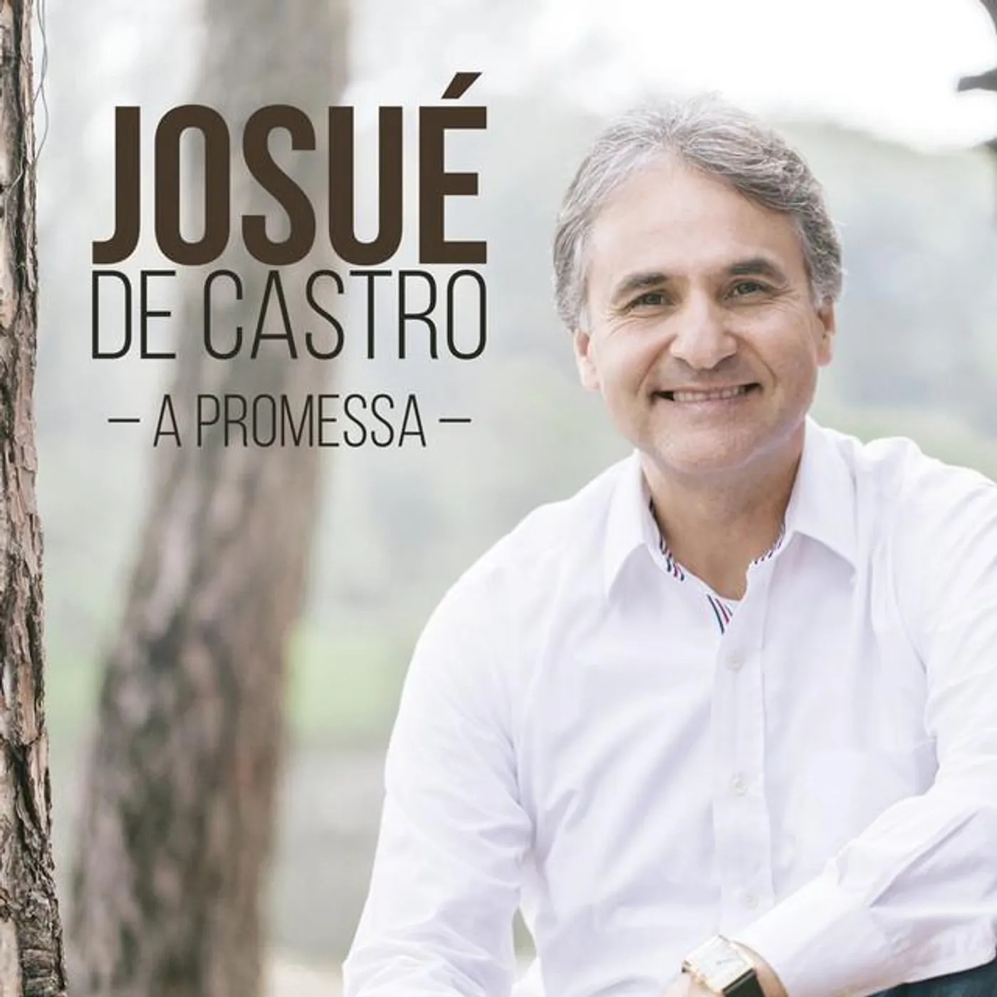 Josué De Castro