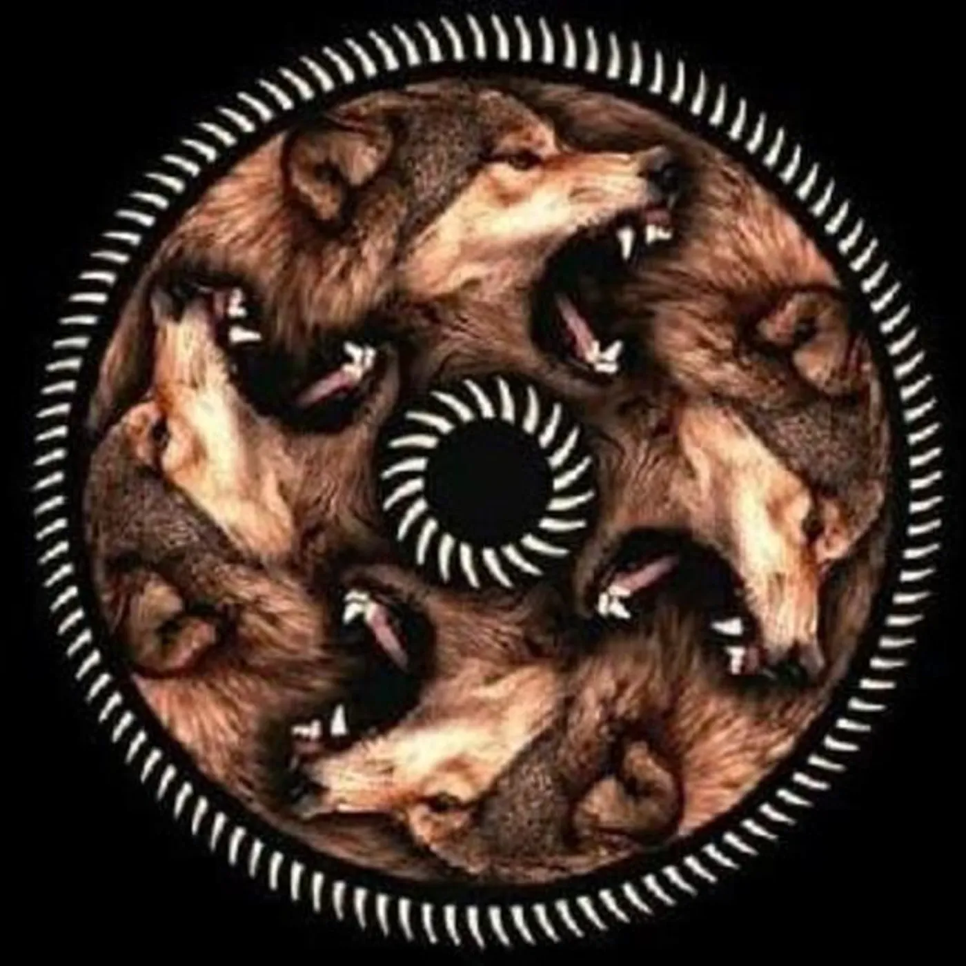 Jauría Brand Page