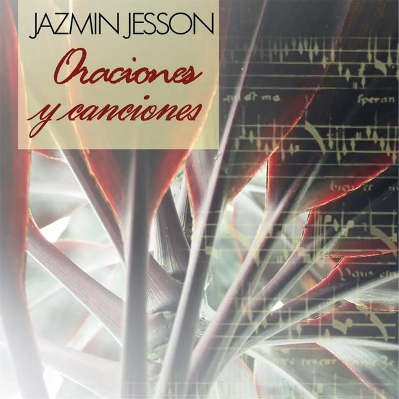 Jazmin Jesson