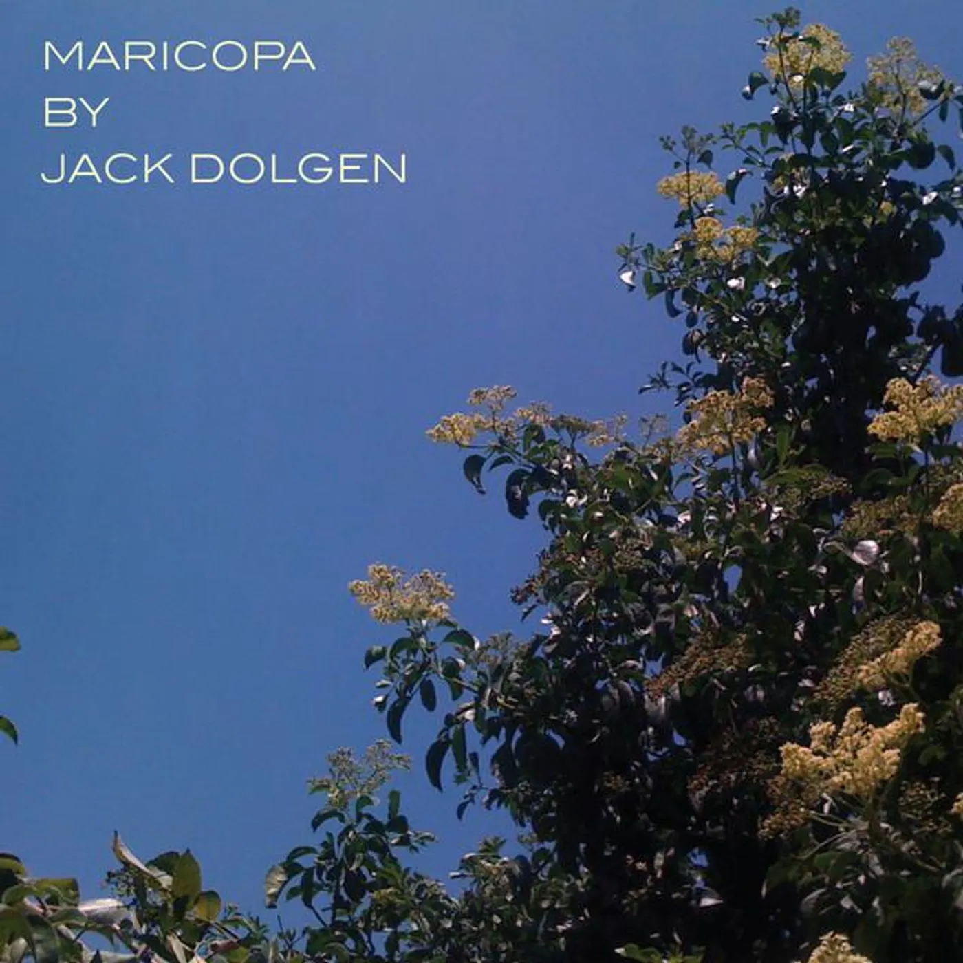 Jack Dolgen Brand Page