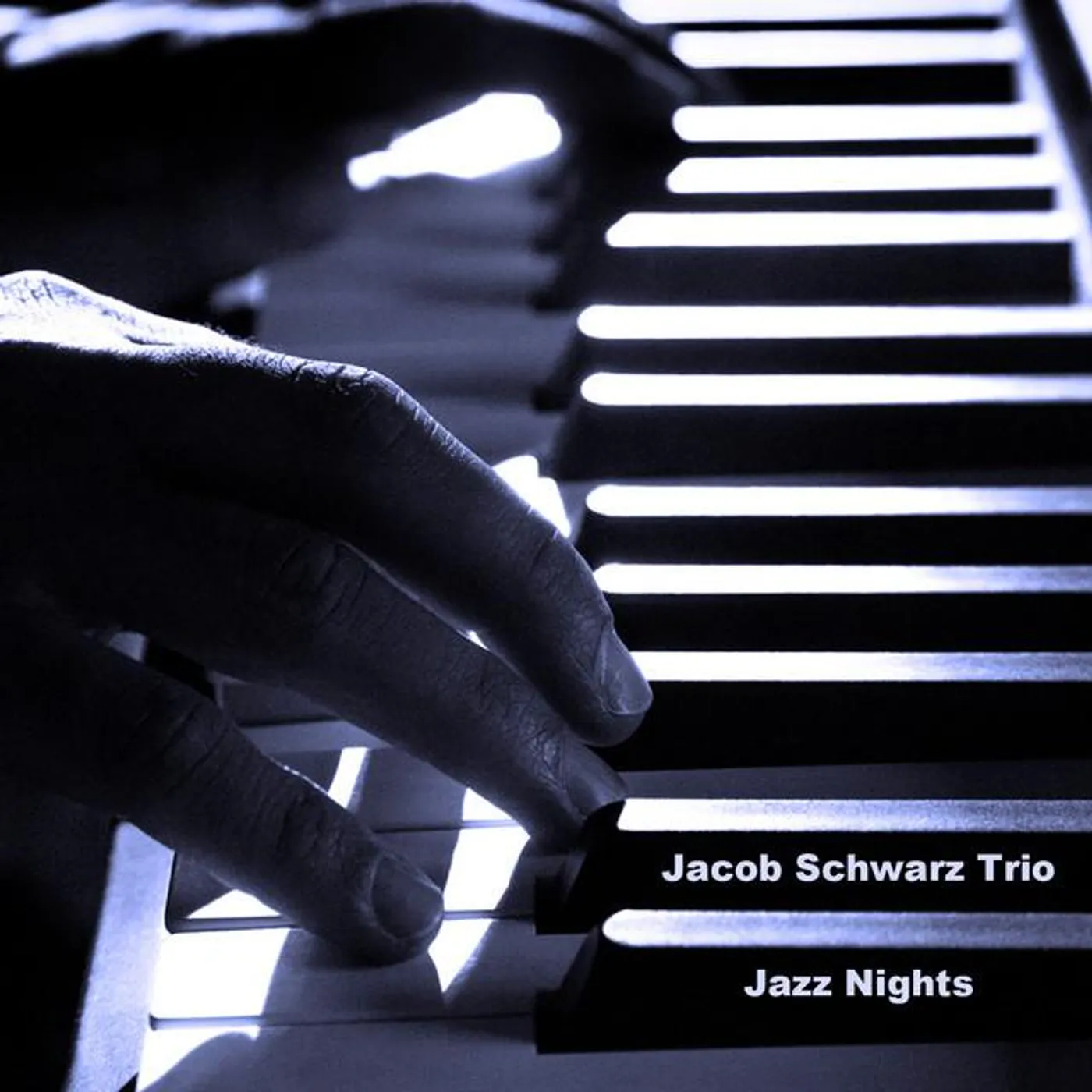Jacob Schwarz Trio
