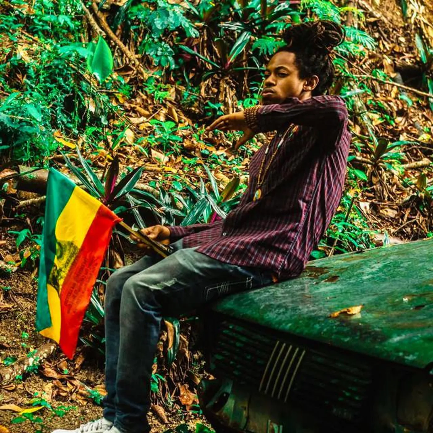 Jah Frozen Brand Page