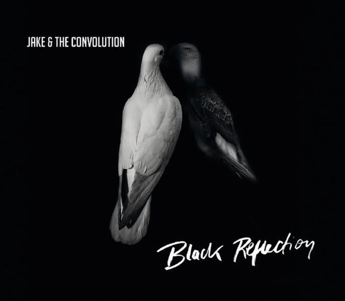 Jake & the Convolution