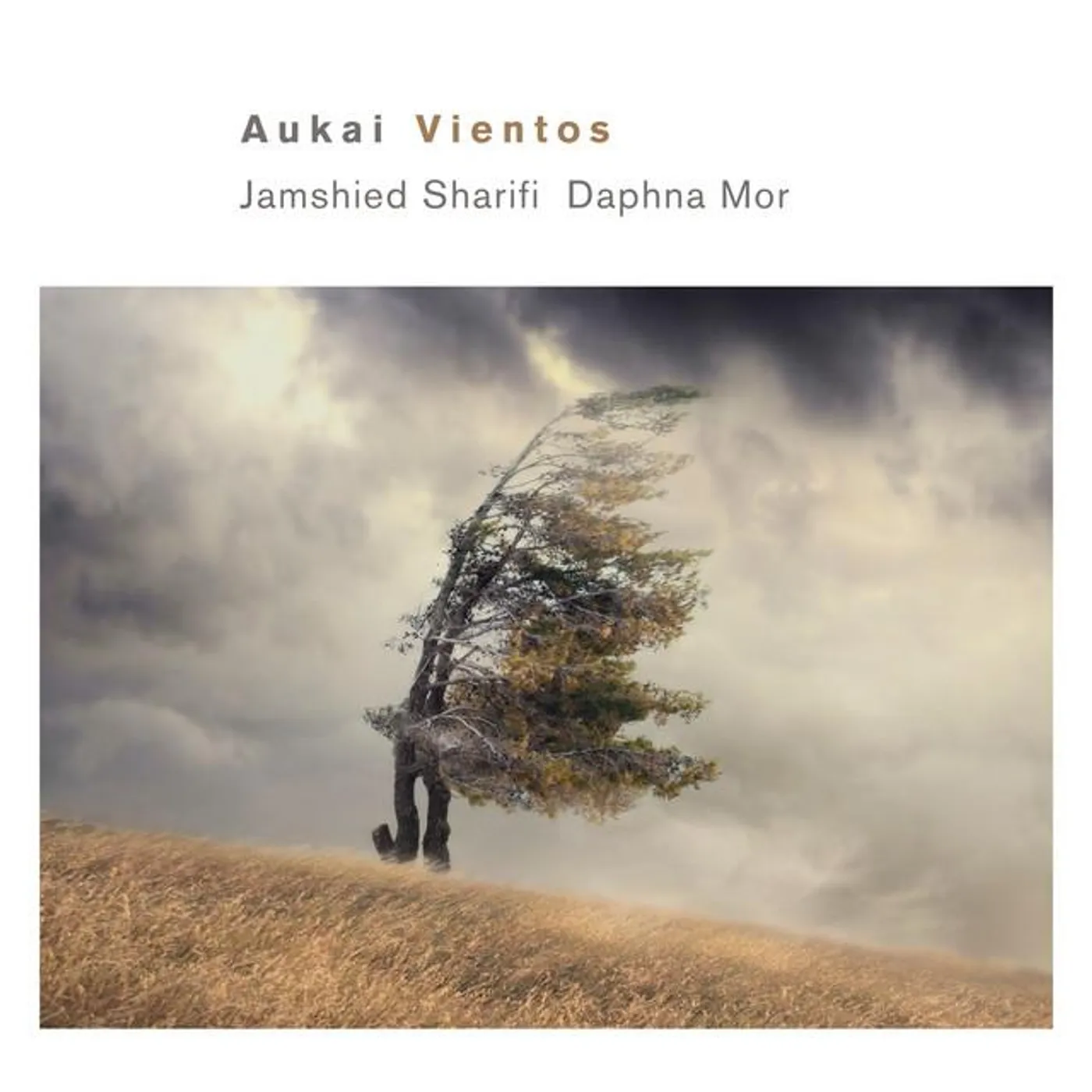 Jamshied Sharifi Brand Page