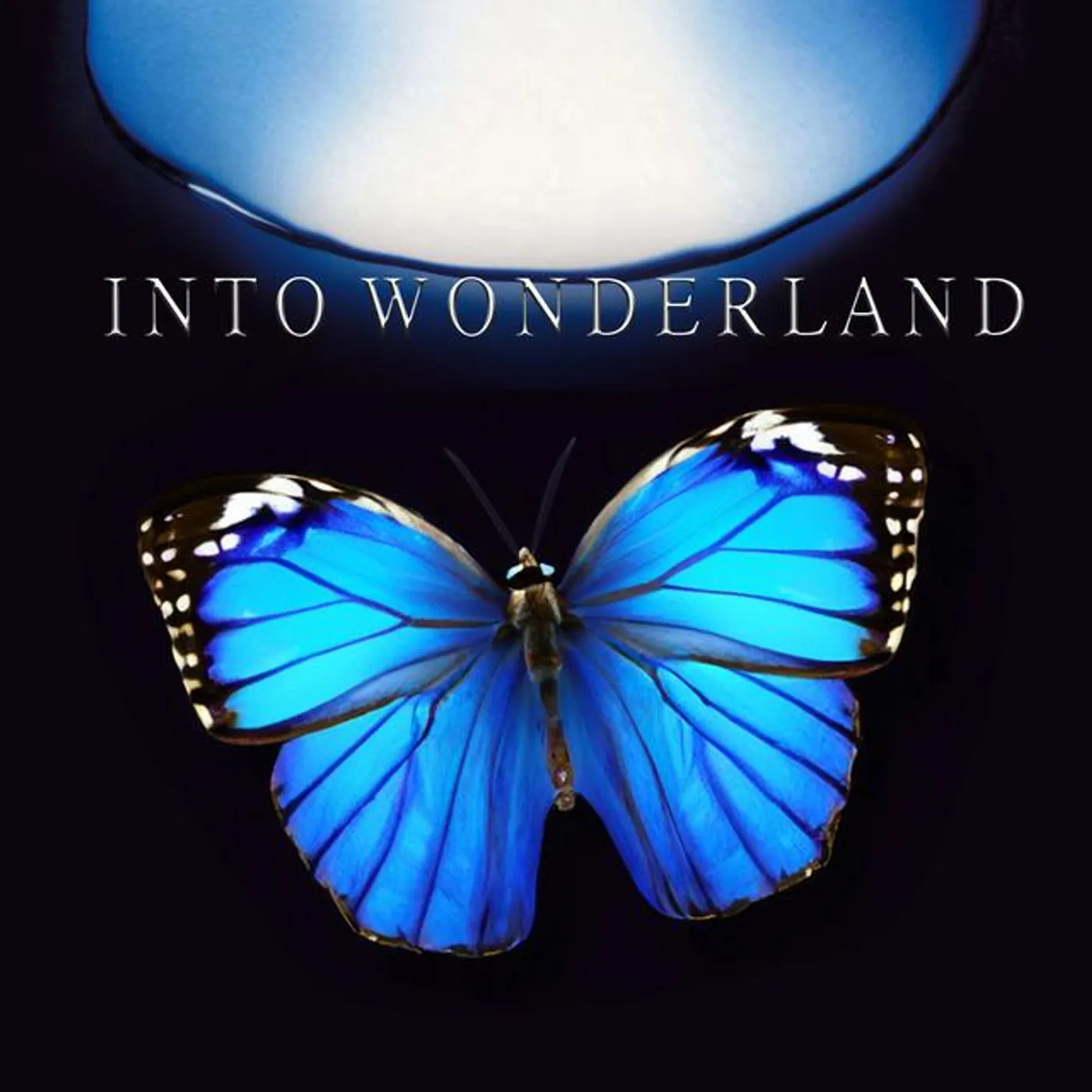 Jana Werner Brand Page