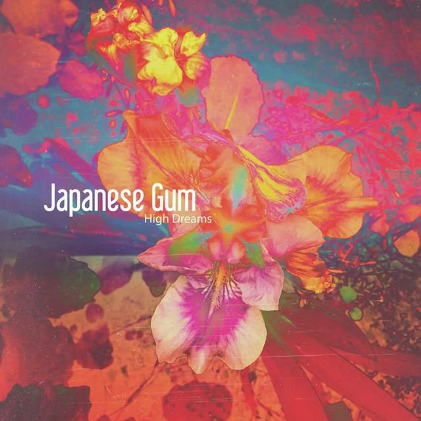 Japanese Gum