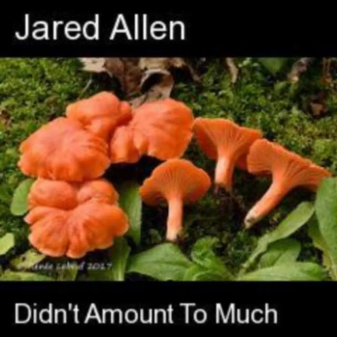 Jared Allen Brand Page