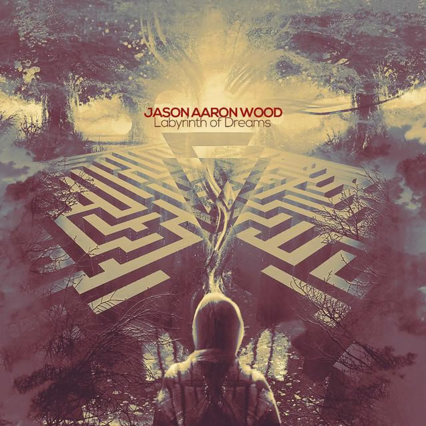 Jason Aaron Wood