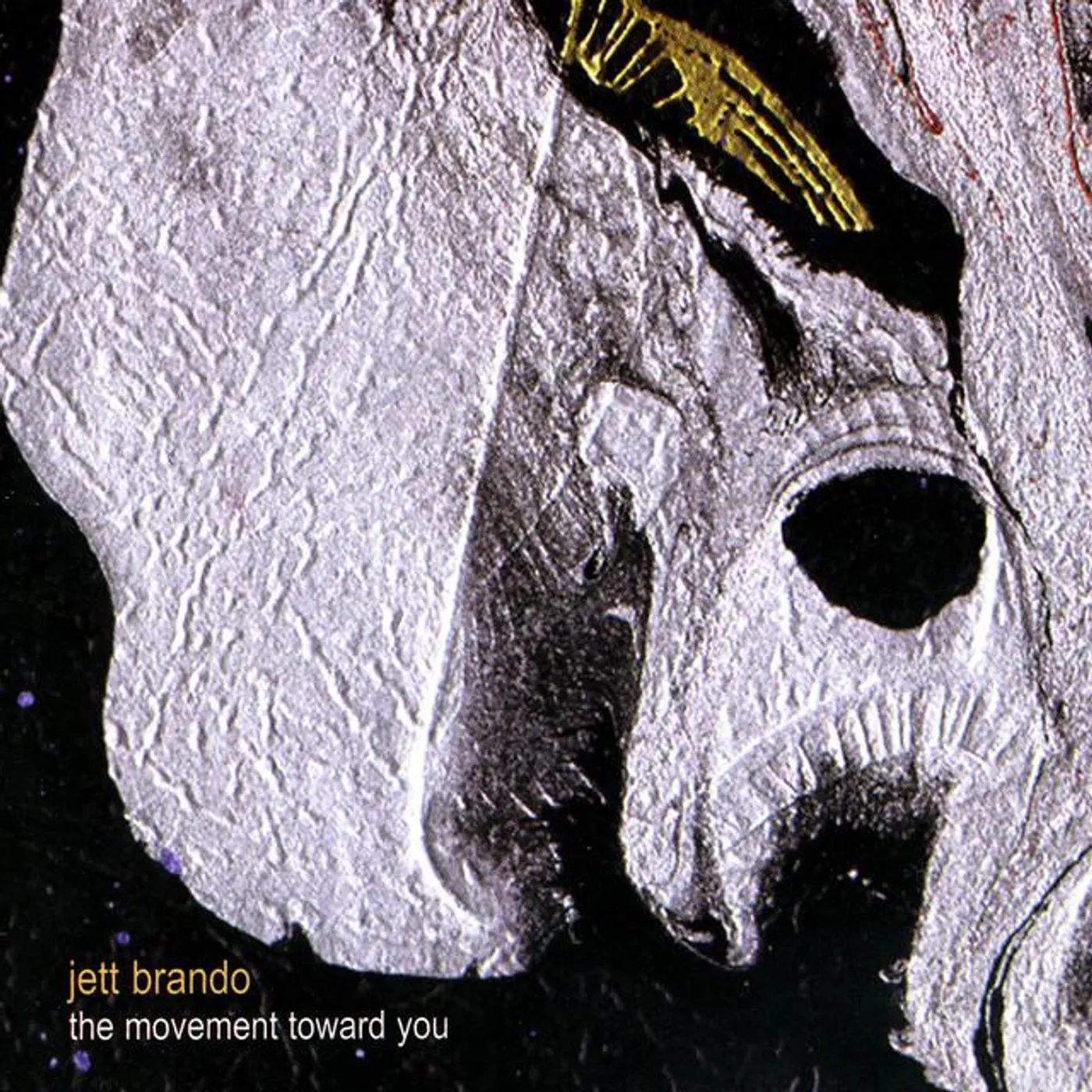 Jett Brando