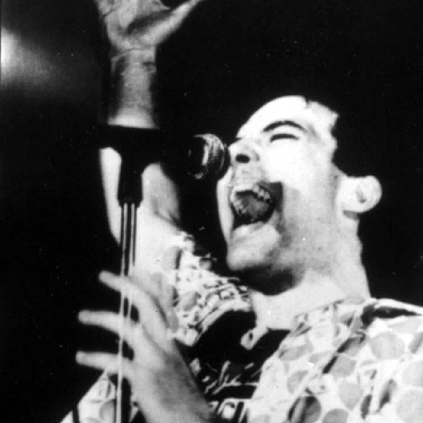Jello Biafra Brand Page