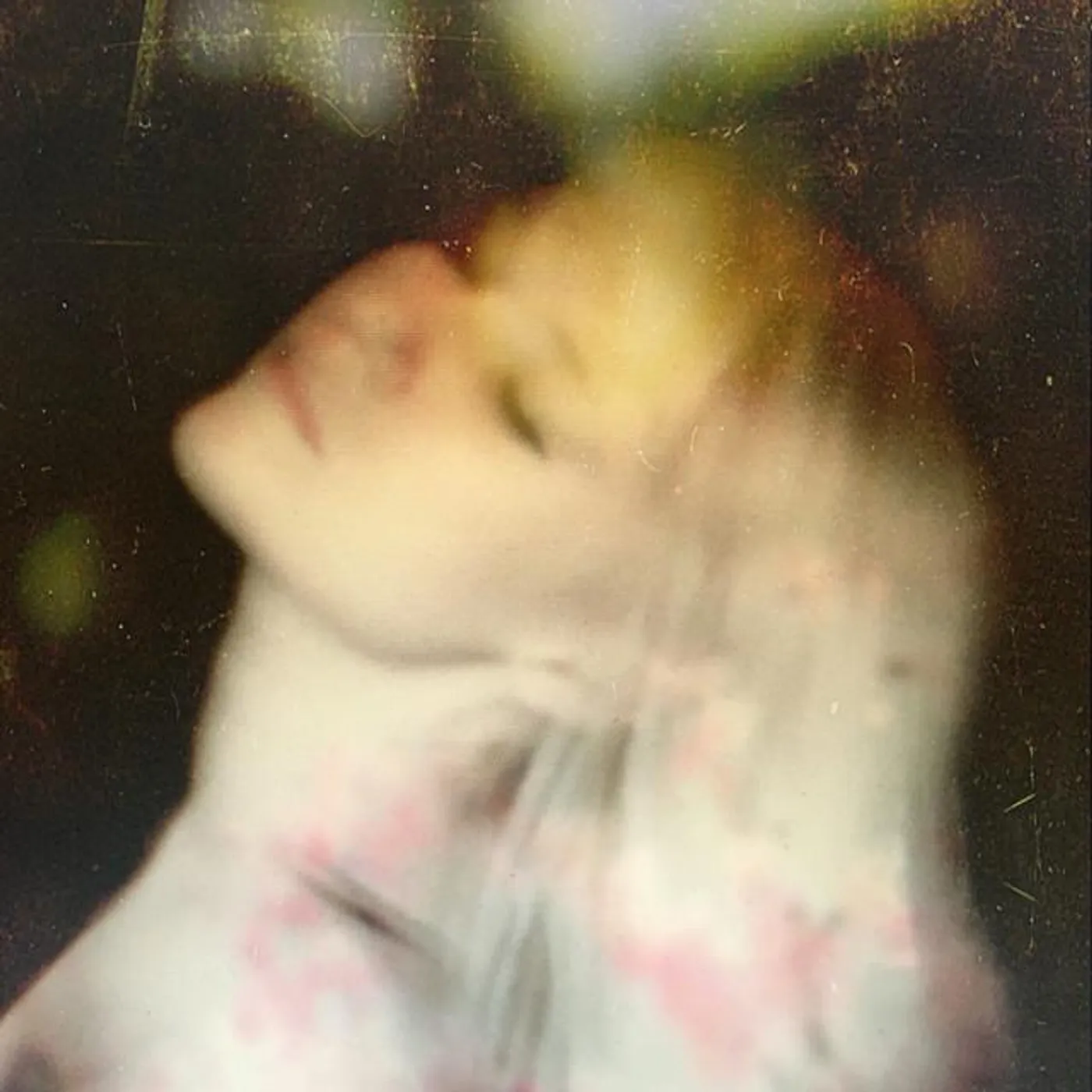 Jenna Fournier
