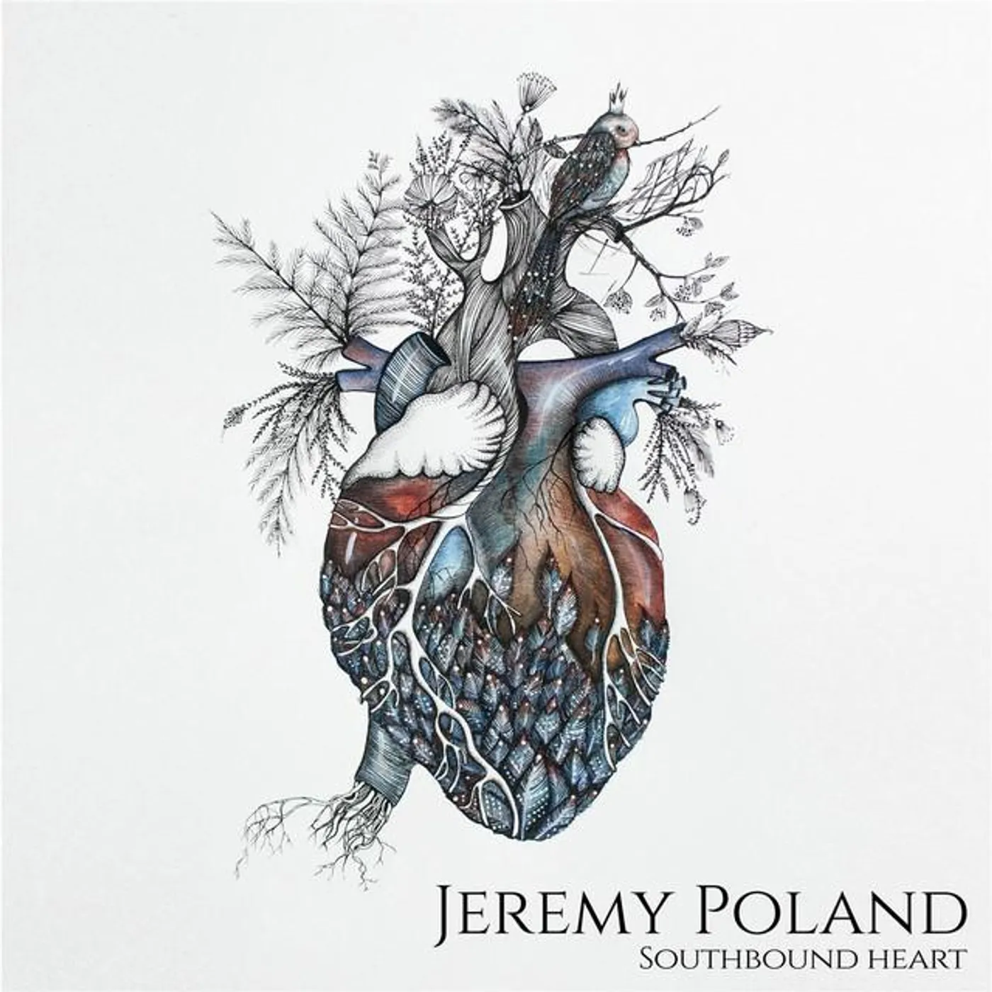 Jeremy Poland