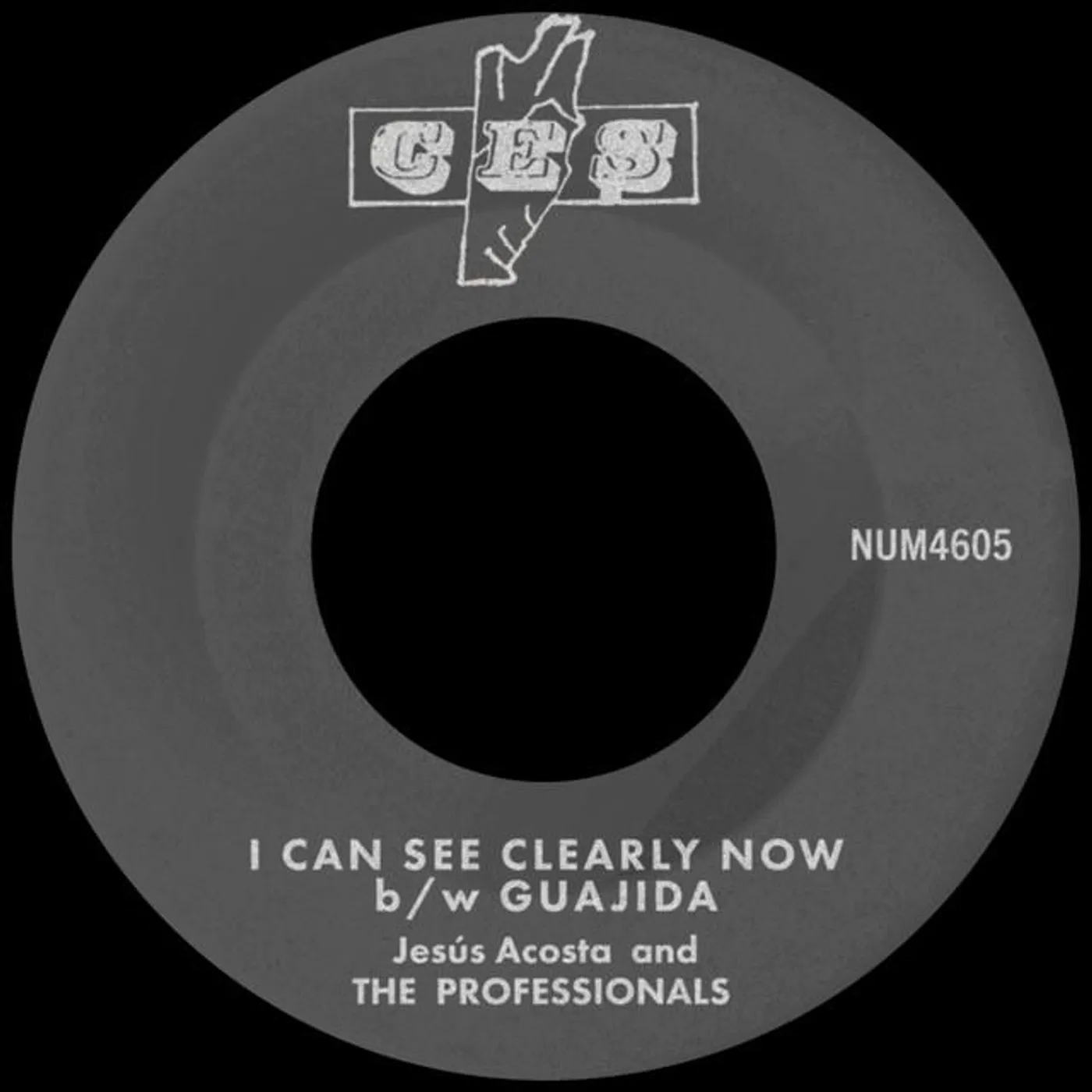 Jesus Acosta & The Professionals