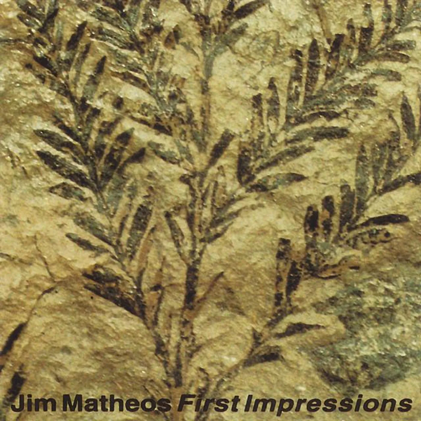 Jim Matheos Brand Page