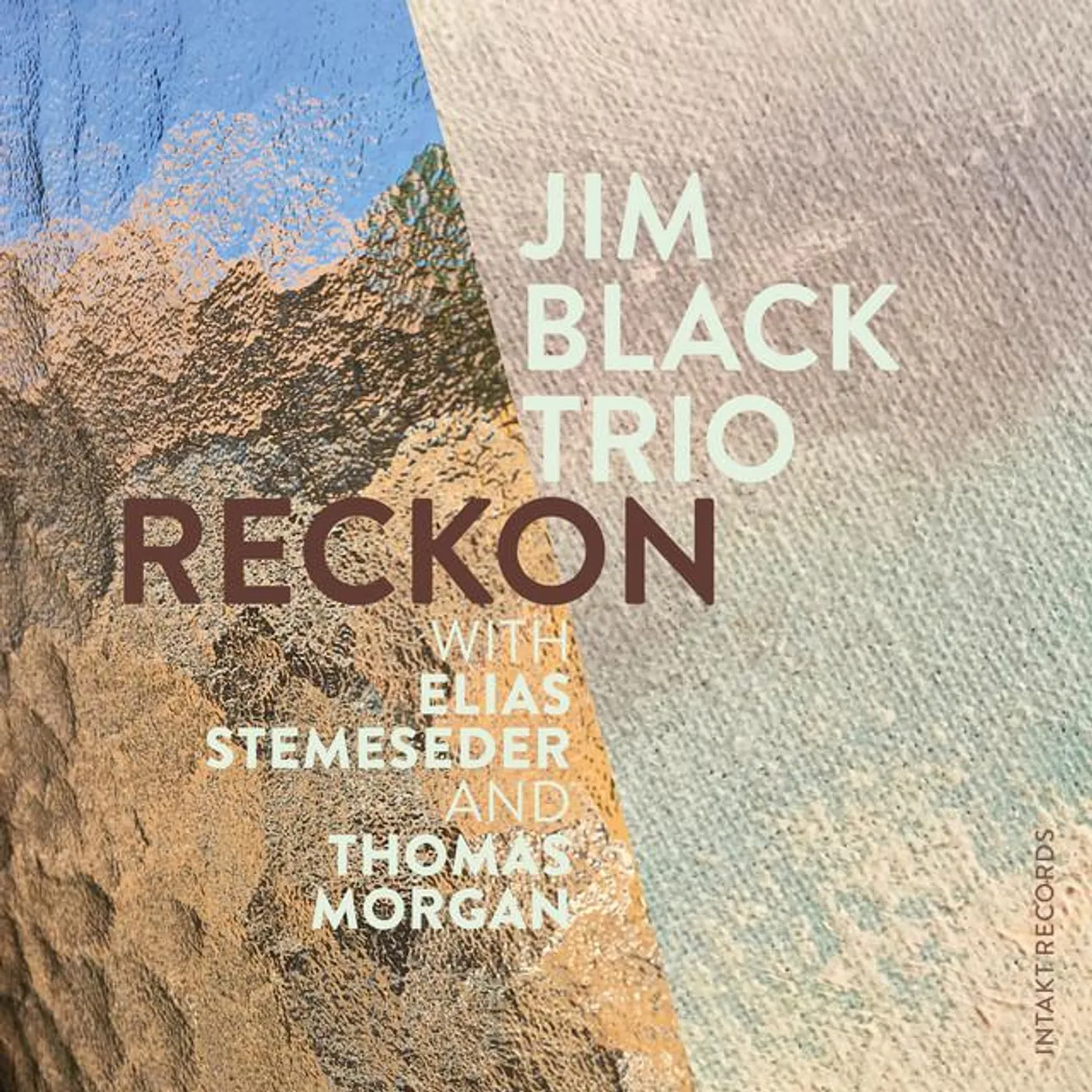 Jim Black Trio Brand Page