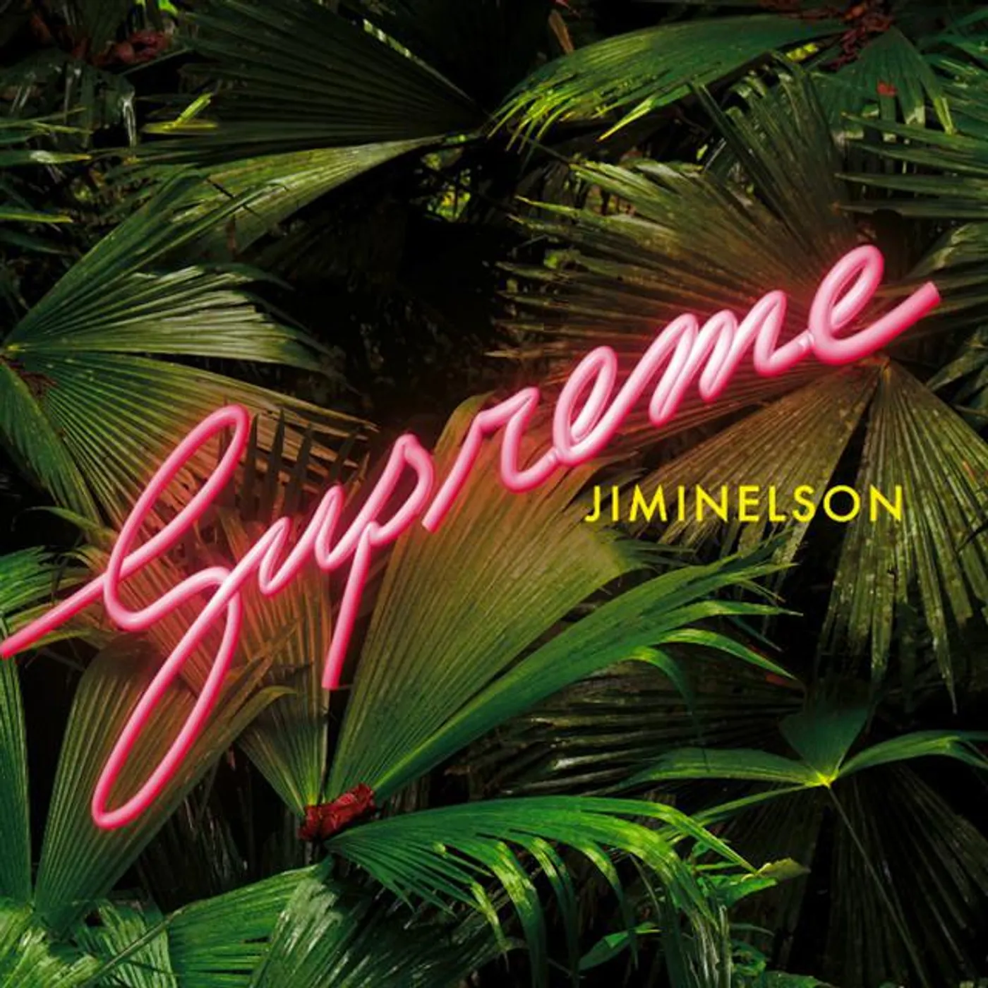 Jiminelson