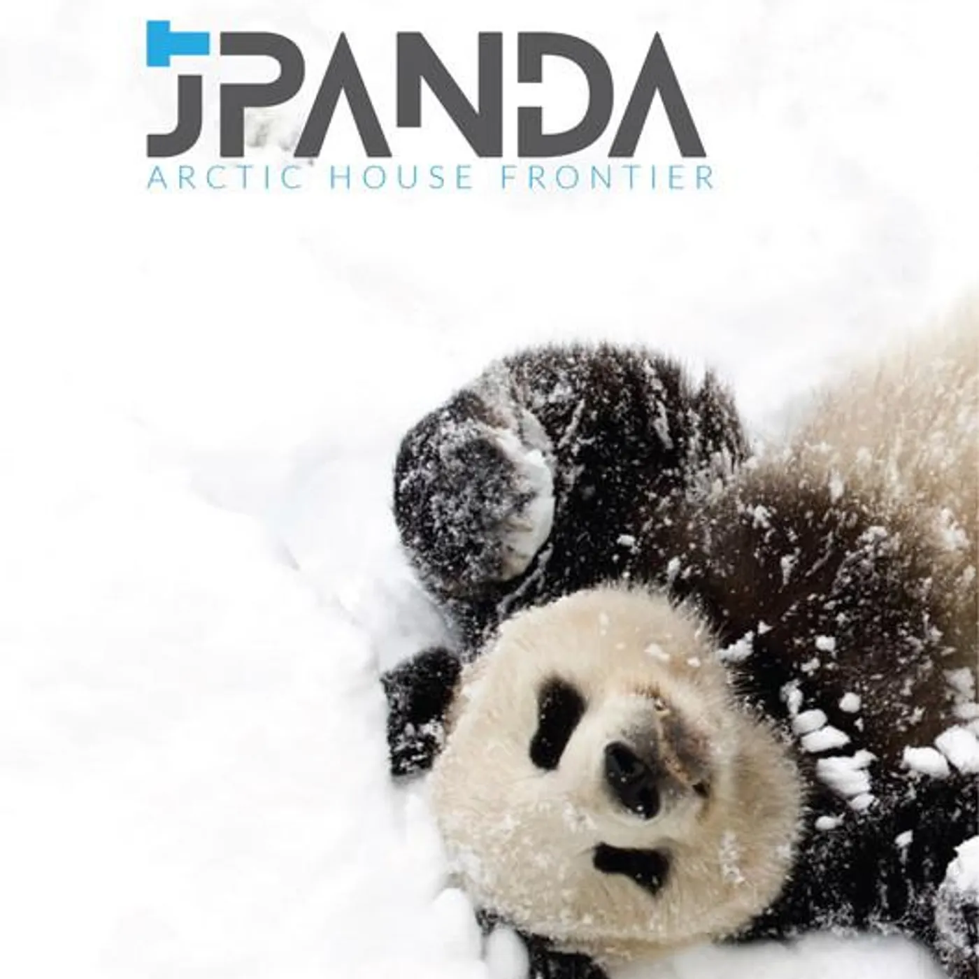 Jt Panda