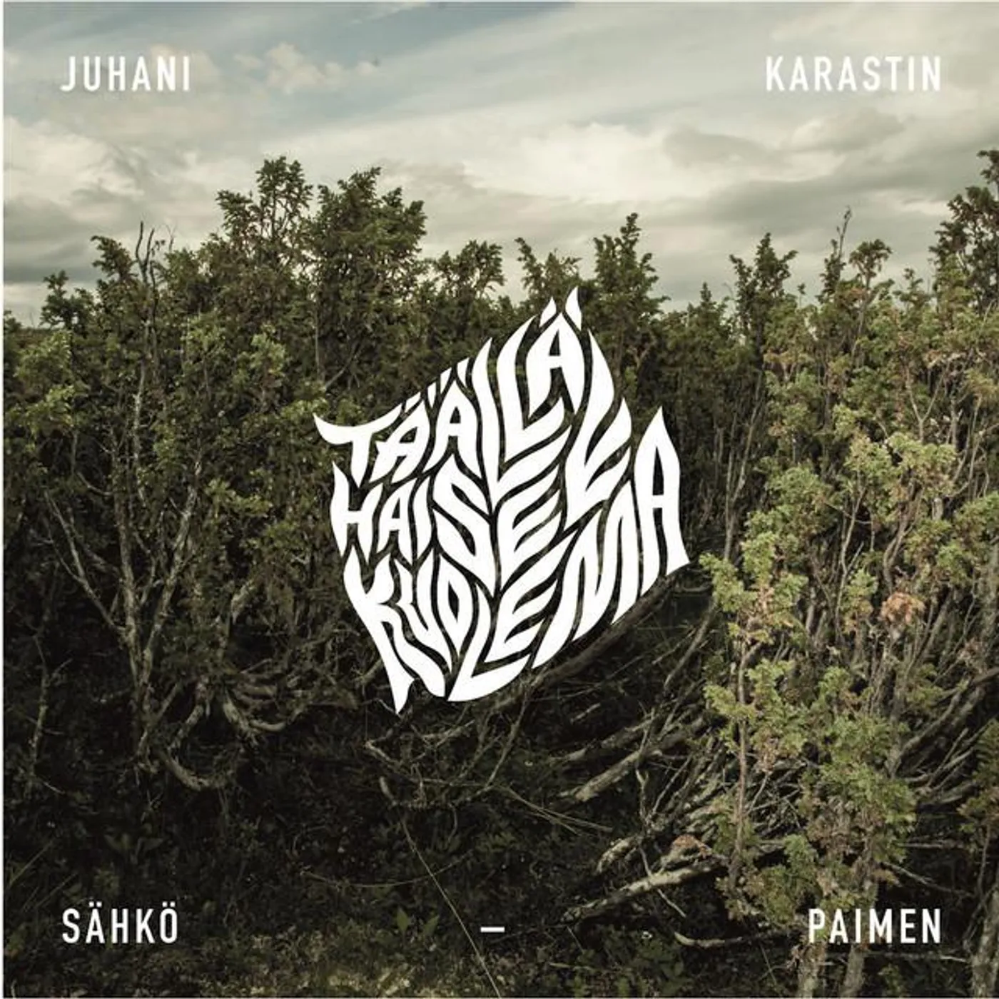 Juhani Karastin Sähköpaimen