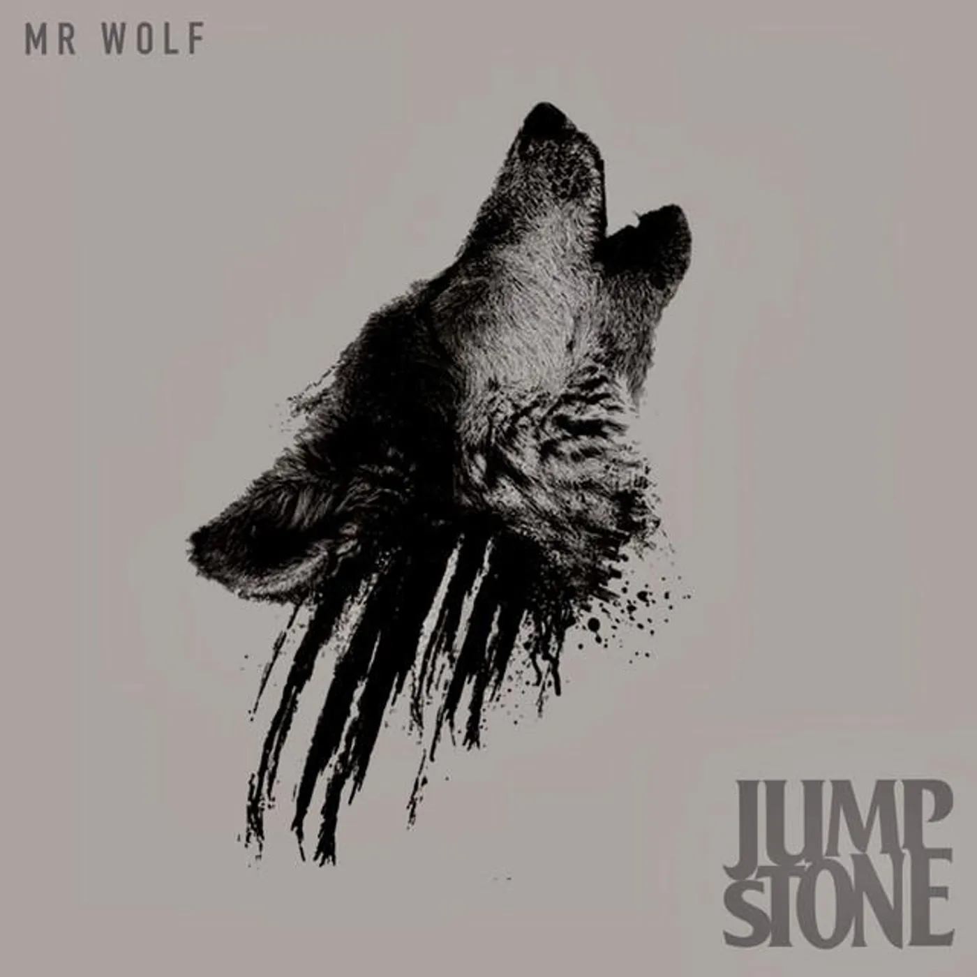 Jump Stone