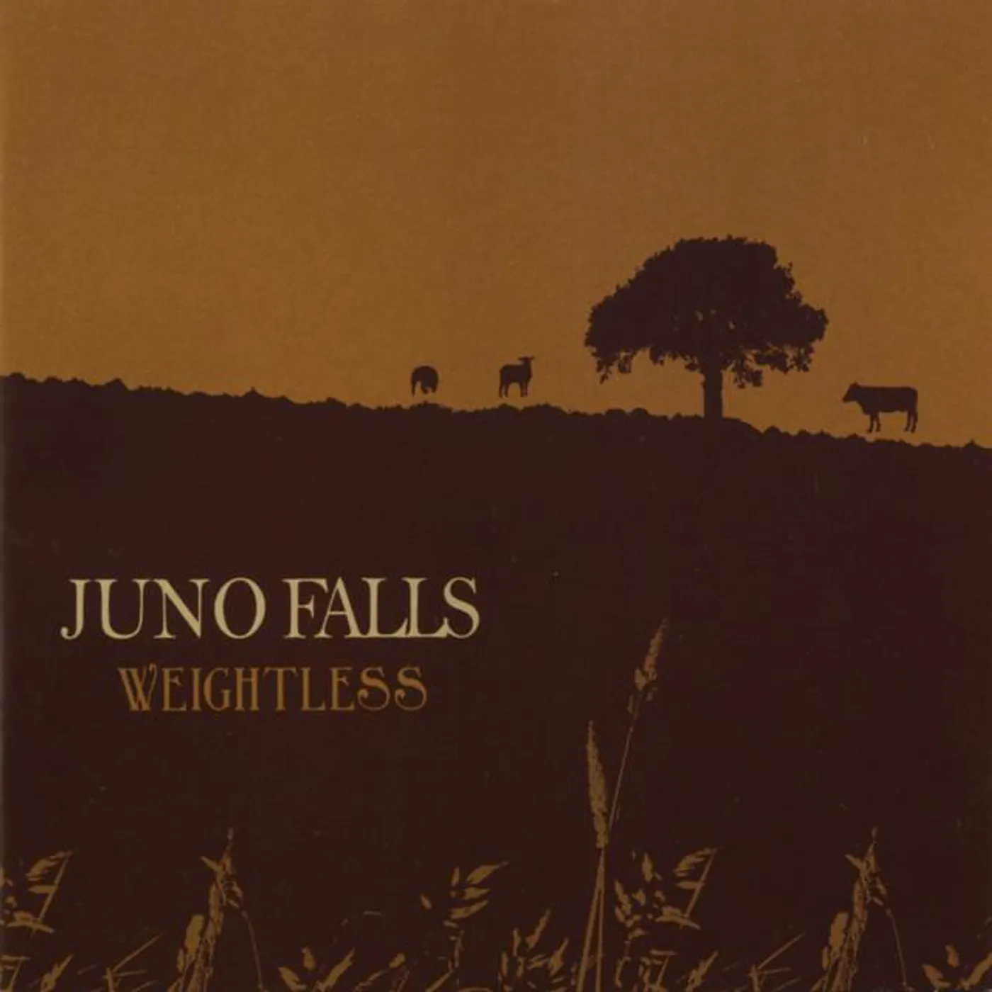 Juno Falls